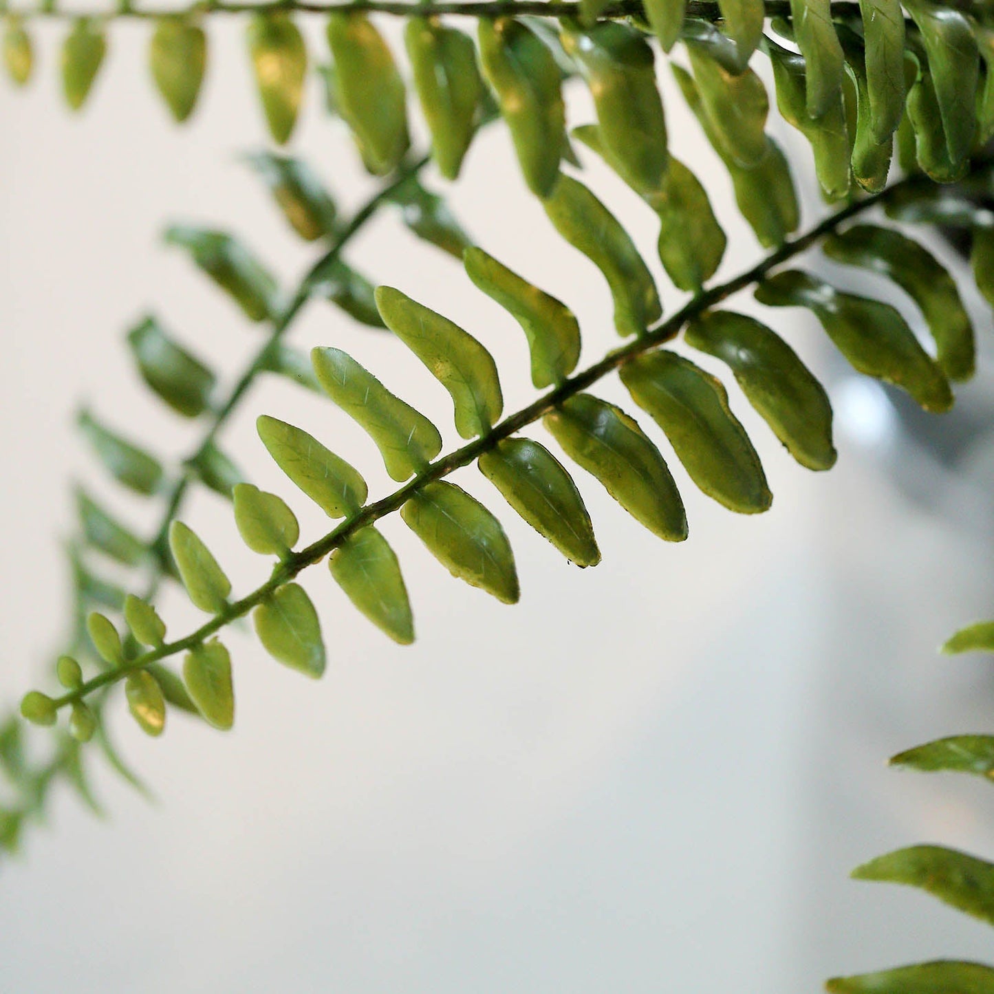Artificial Boston Fern Green Leaf Plant, Premium Real Touch Indoor Spray 20"