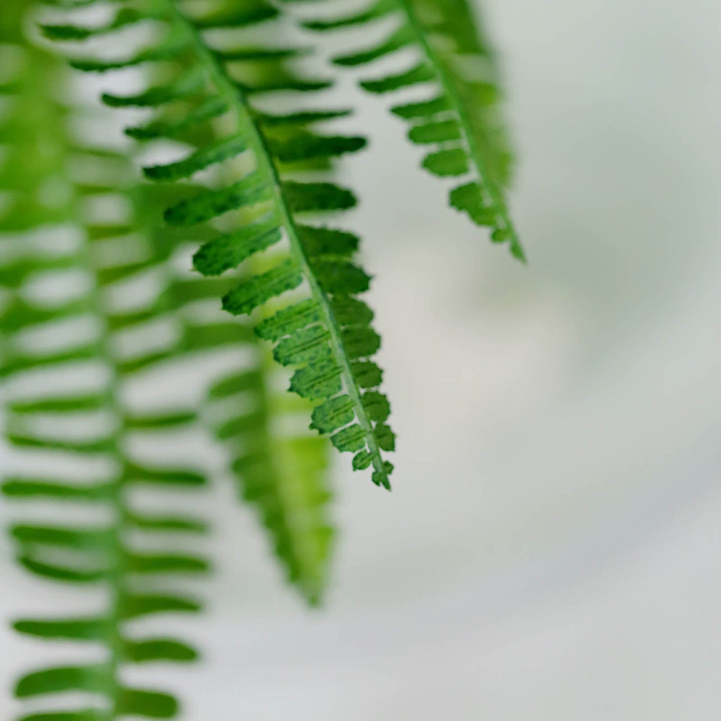 2 Stems Green Artificial Boston Fern Leaf Plant Indoor Faux Spray 18"