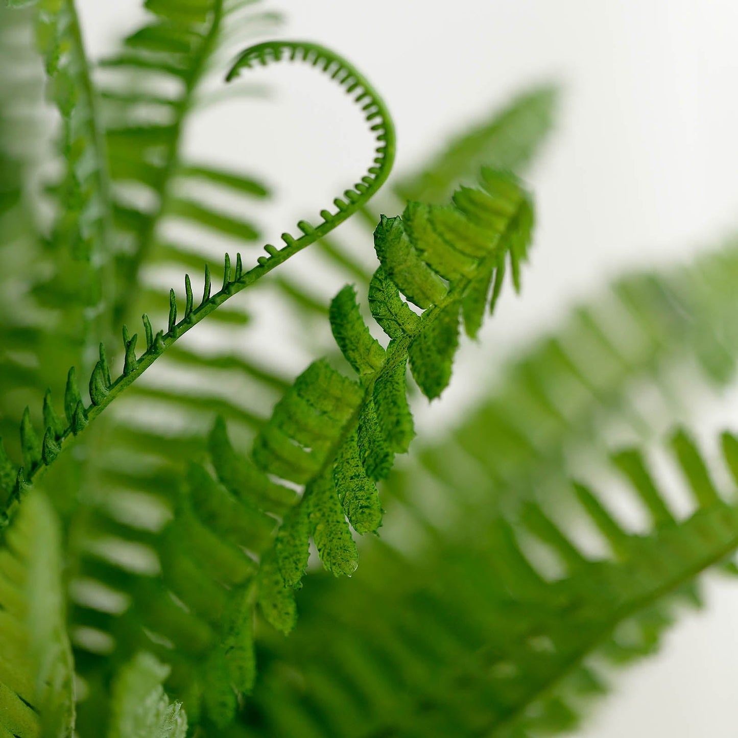 2 Stems Green Artificial Boston Fern Leaf Plant Indoor Faux Spray 18"