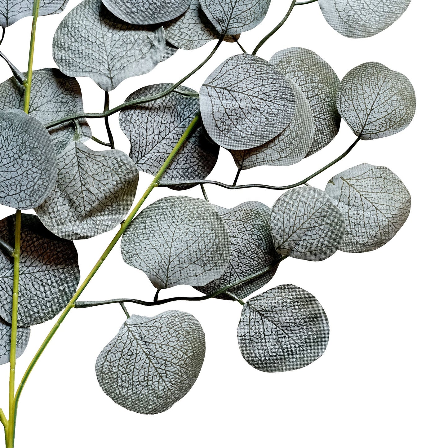 4 Pack Real Touch Frosted Green Artificial Silk Eucalyptus Leaf Stems 25"