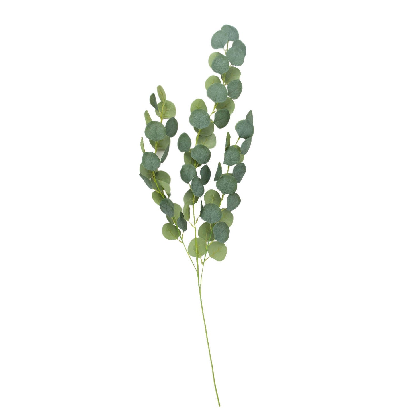 3 Pack Green Real Touch Hanging Artificial Plant Eucalyptus Stems, Silk Silver Dollar Indoor Leaf Sprays 41"