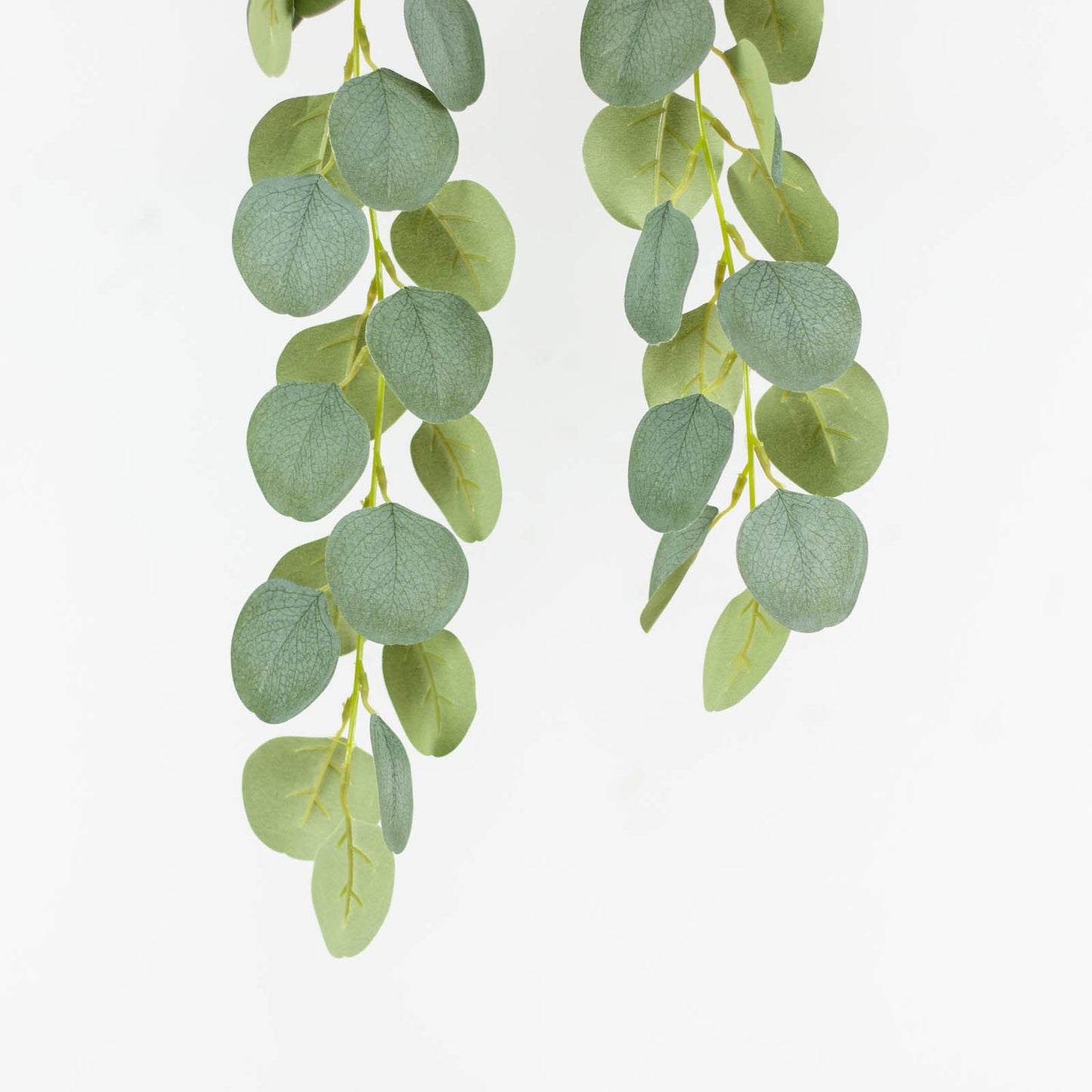 3 Pack Green Real Touch Hanging Artificial Plant Eucalyptus Stems, Silk Silver Dollar Indoor Leaf Sprays 41"