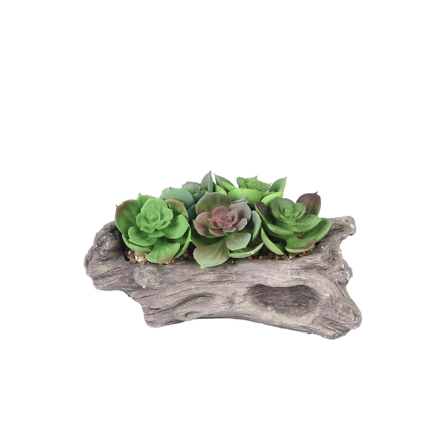 Artificial Log Planter and 5 Perle Von Nurnberg Succulent Plants 7" Long
