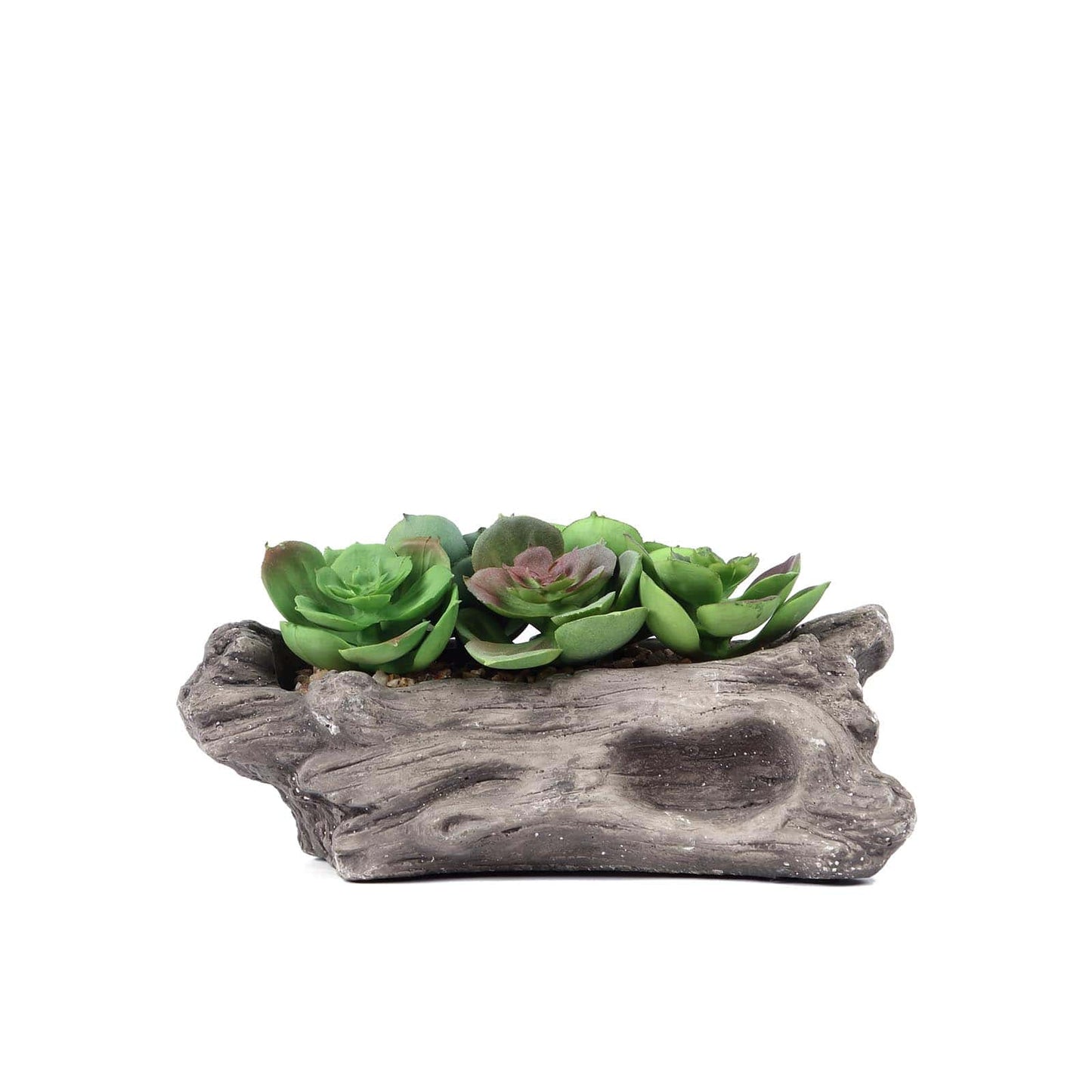 Artificial Log Planter and 5 Perle Von Nurnberg Succulent Plants 7" Long