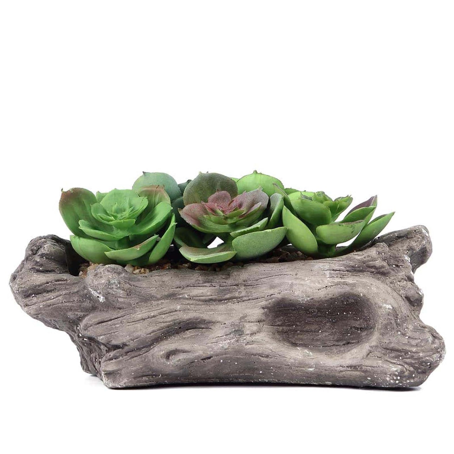 Artificial Log Planter and 5 Perle Von Nurnberg Succulent Plants 7" Long
