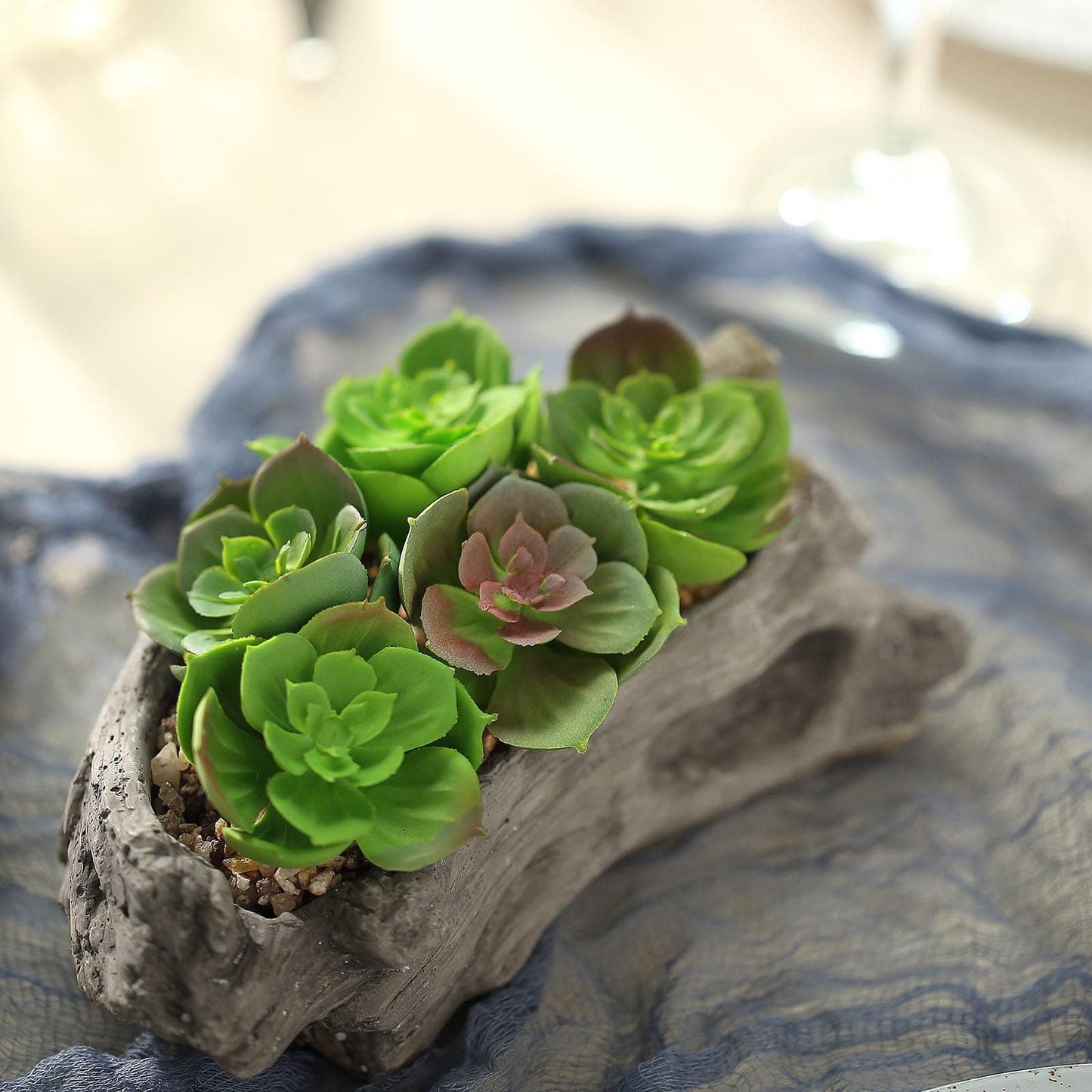 Artificial Log Planter and 5 Perle Von Nurnberg Succulent Plants 7" Long