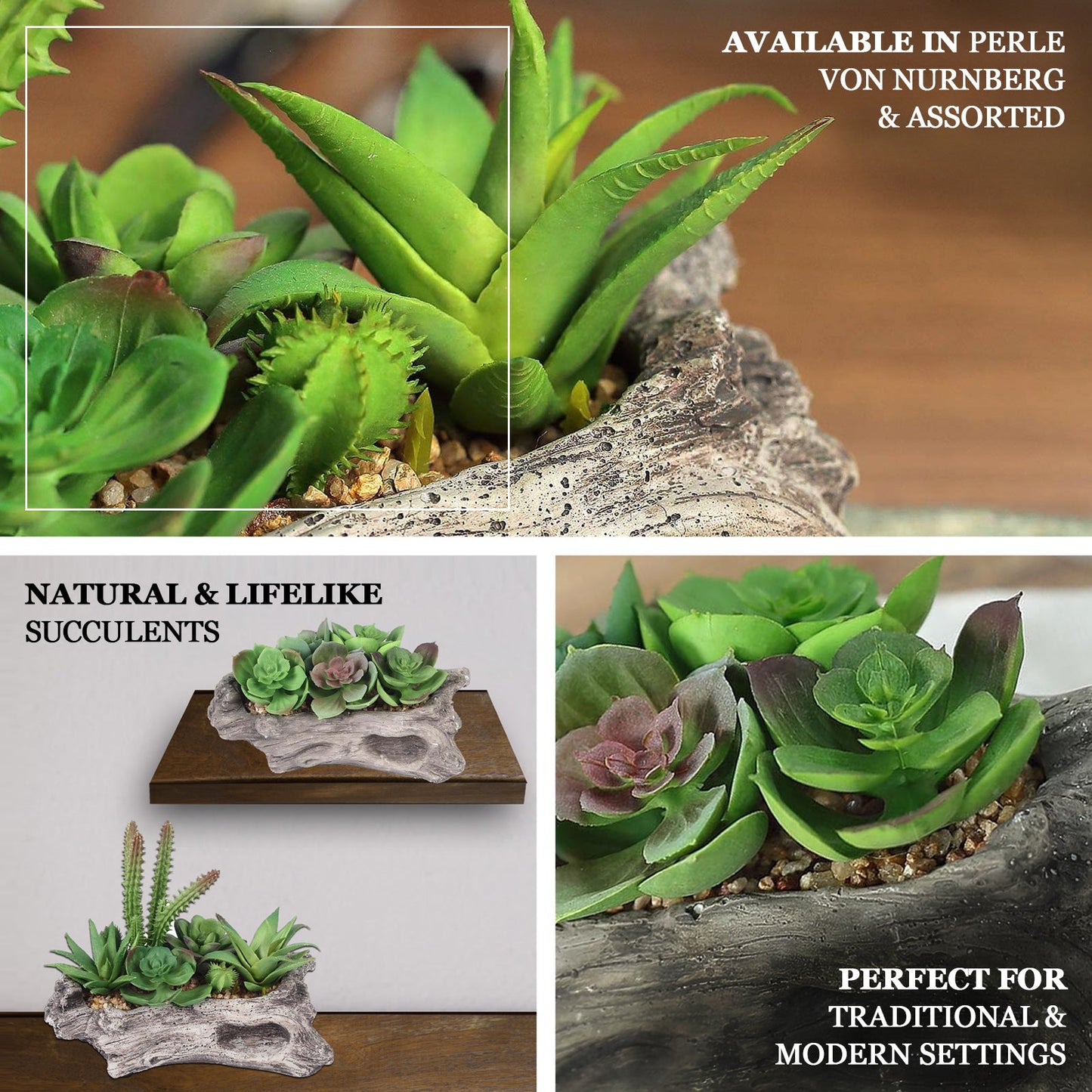 Artificial Log Planter and 5 Perle Von Nurnberg Succulent Plants 7" Long