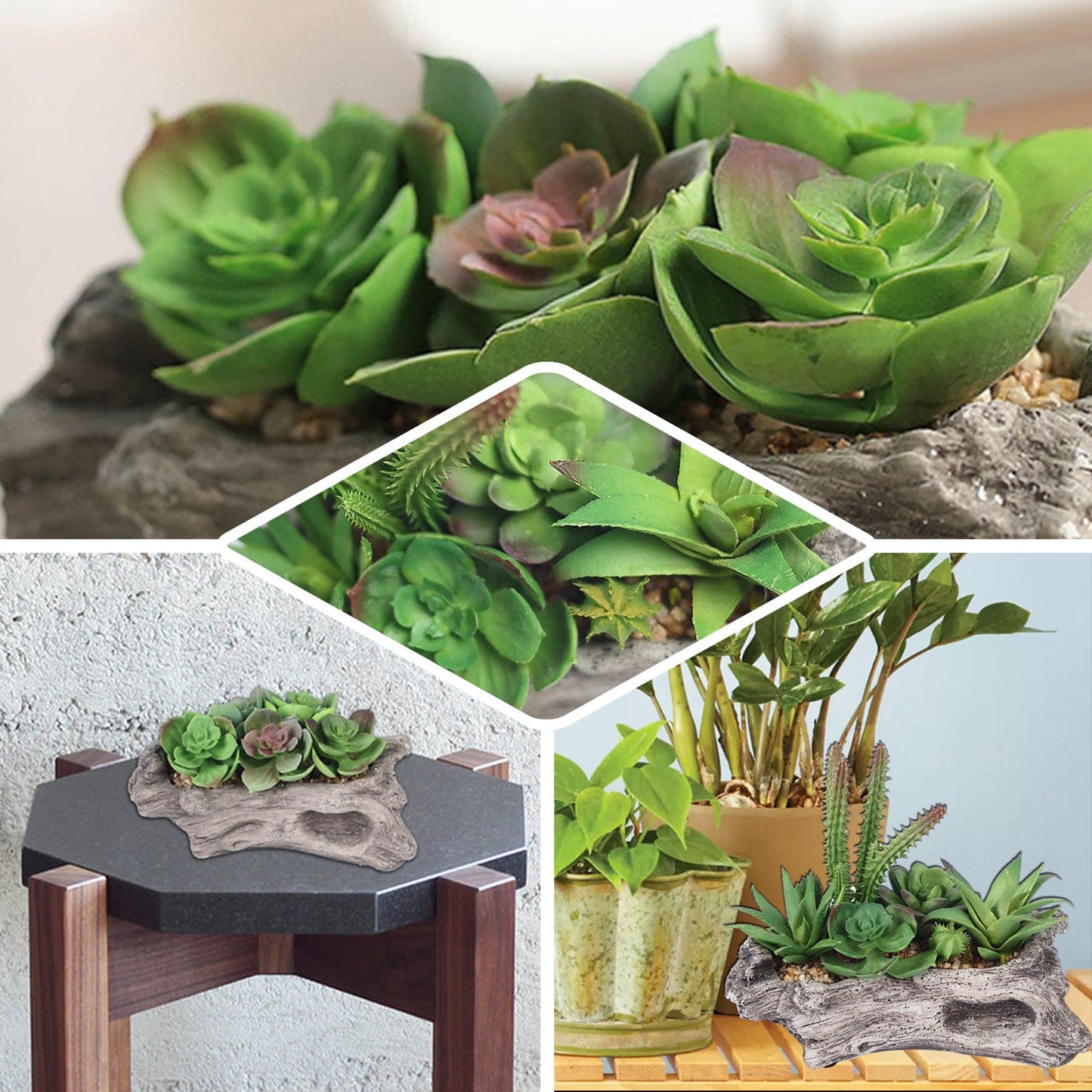 Artificial Log Planter and 5 Perle Von Nurnberg Succulent Plants 7" Long