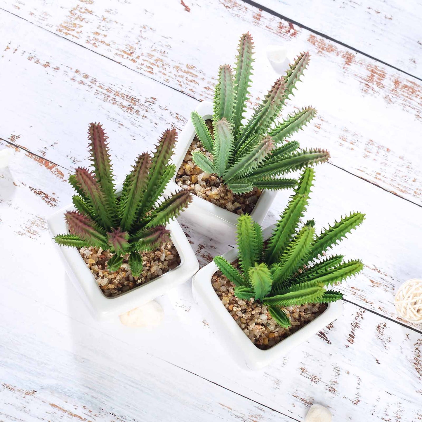 3 Pack Ceramic Planter Pot and Artificial Cacti Succulent Plants 7"