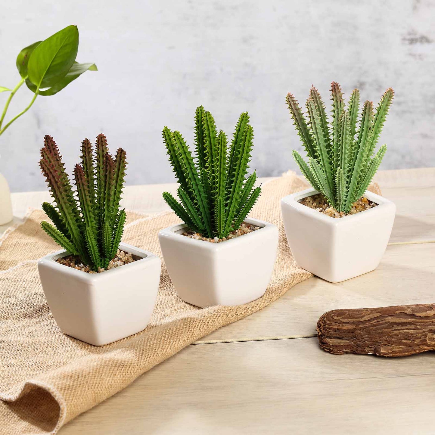 3 Pack Ceramic Planter Pot and Artificial Cacti Succulent Plants 7"