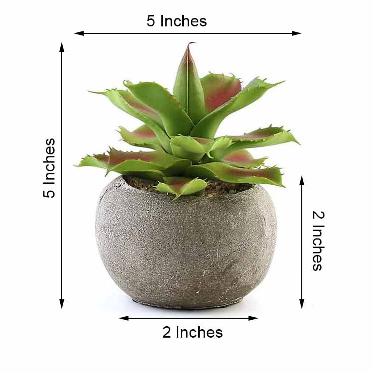 3 Pack Ceramic Planter Pot and Artificial Aloe Succulent Plants 5"