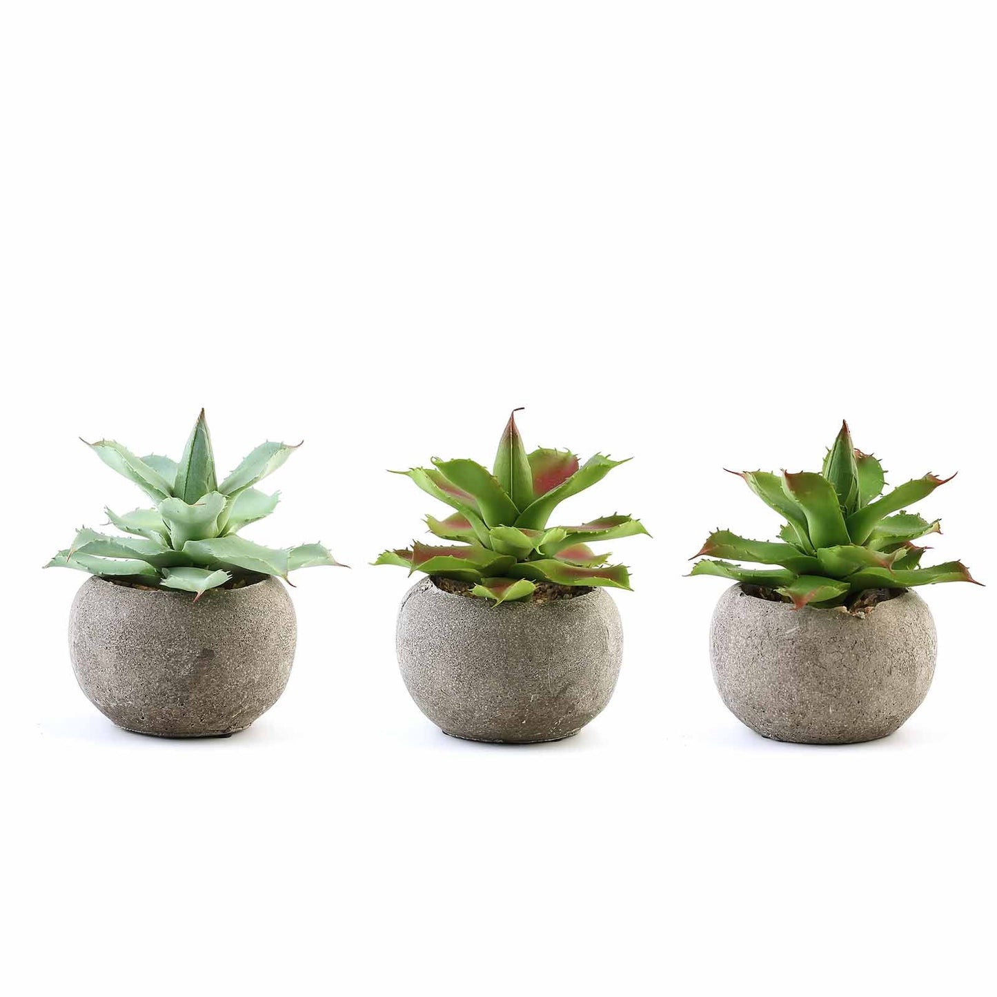 3 Pack Ceramic Planter Pot and Artificial Aloe Succulent Plants 5"