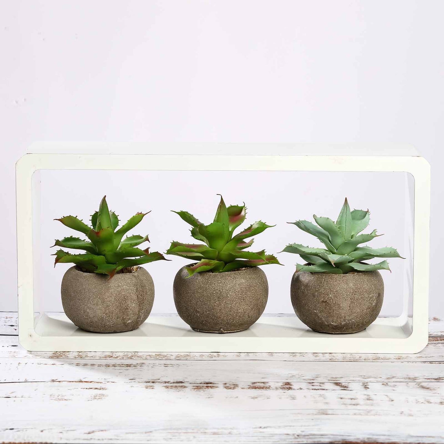 3 Pack Ceramic Planter Pot and Artificial Aloe Succulent Plants 5"