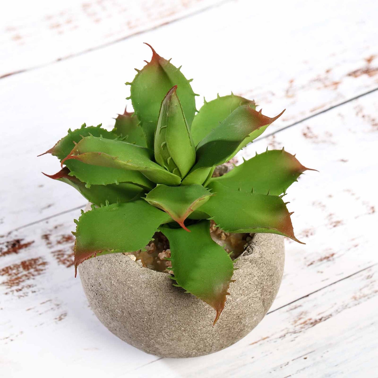 3 Pack Ceramic Planter Pot and Artificial Aloe Succulent Plants 5"