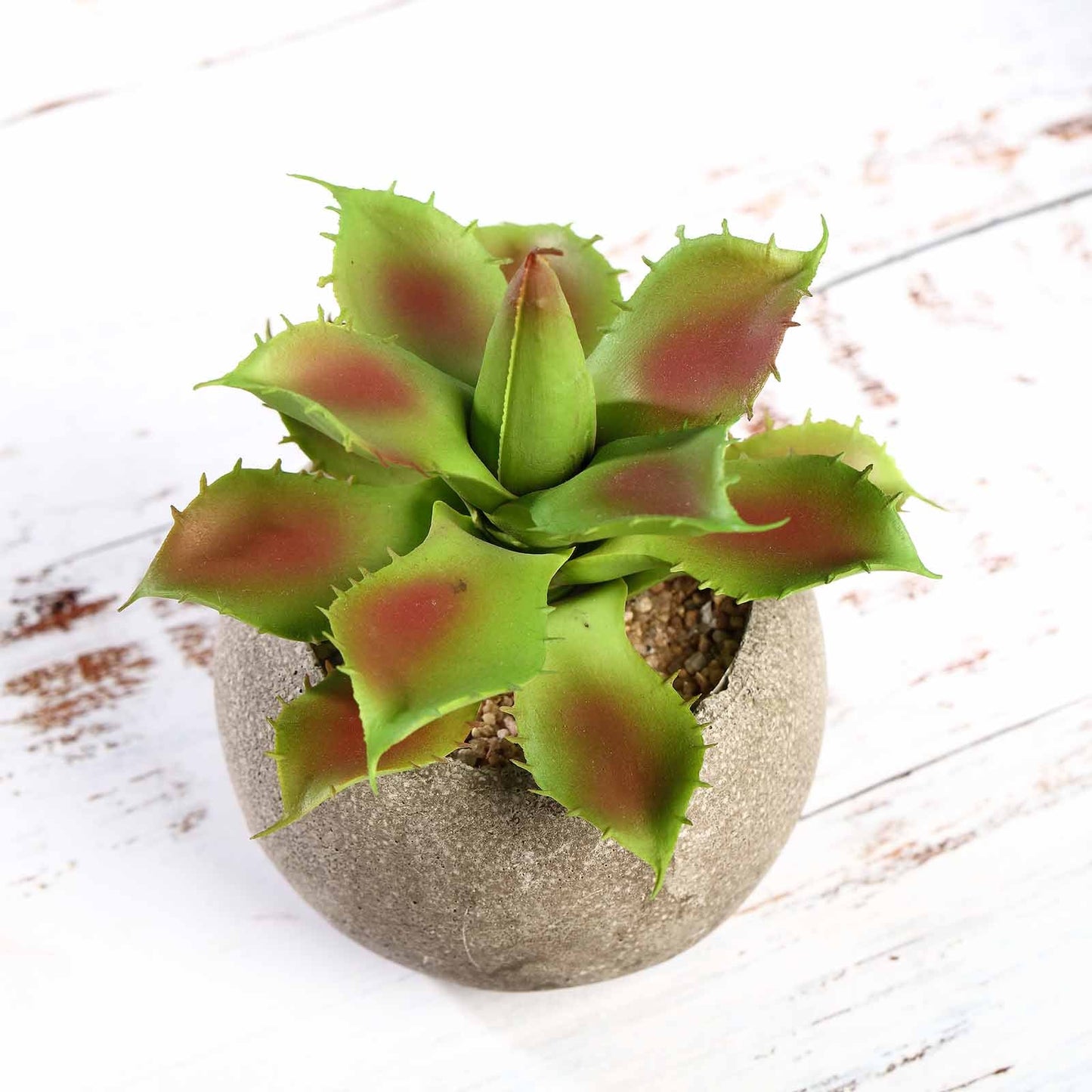 3 Pack Ceramic Planter Pot and Artificial Aloe Succulent Plants 5"