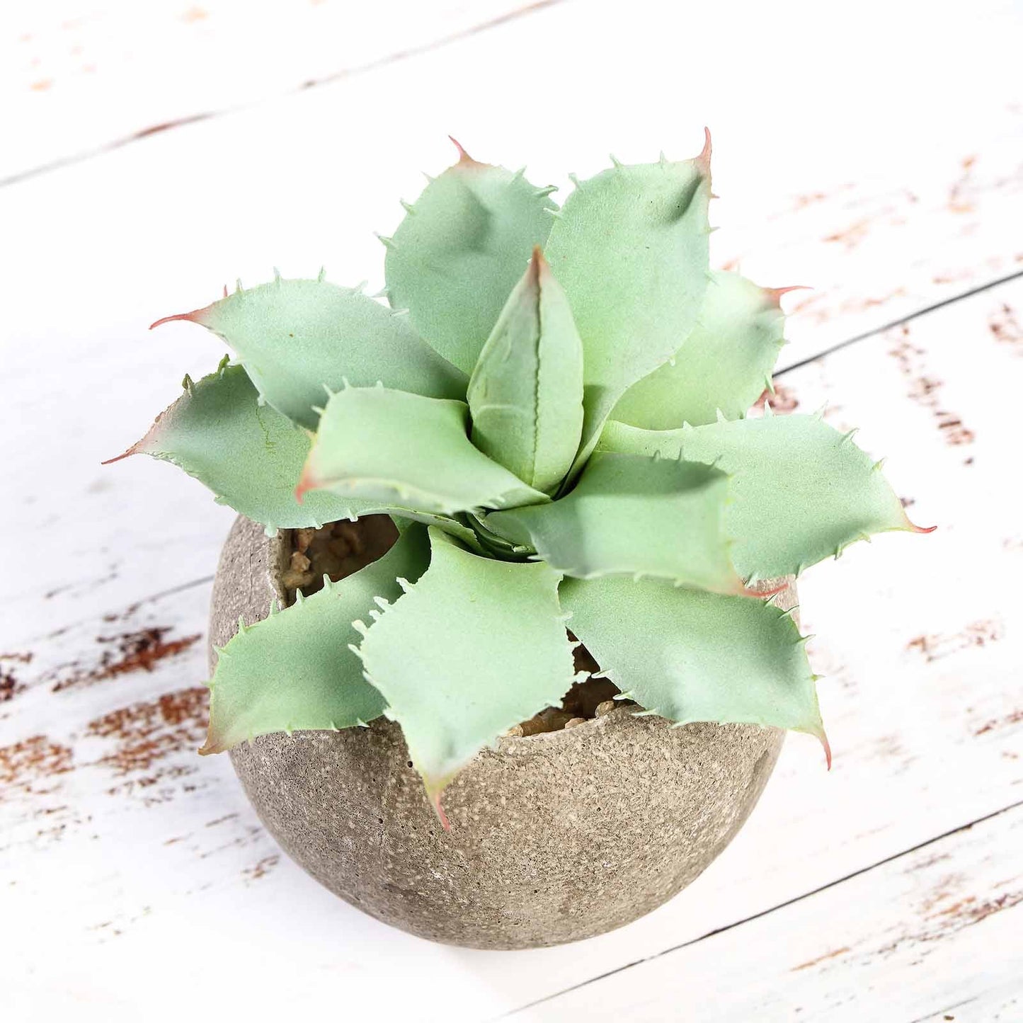 3 Pack Ceramic Planter Pot and Artificial Aloe Succulent Plants 5"
