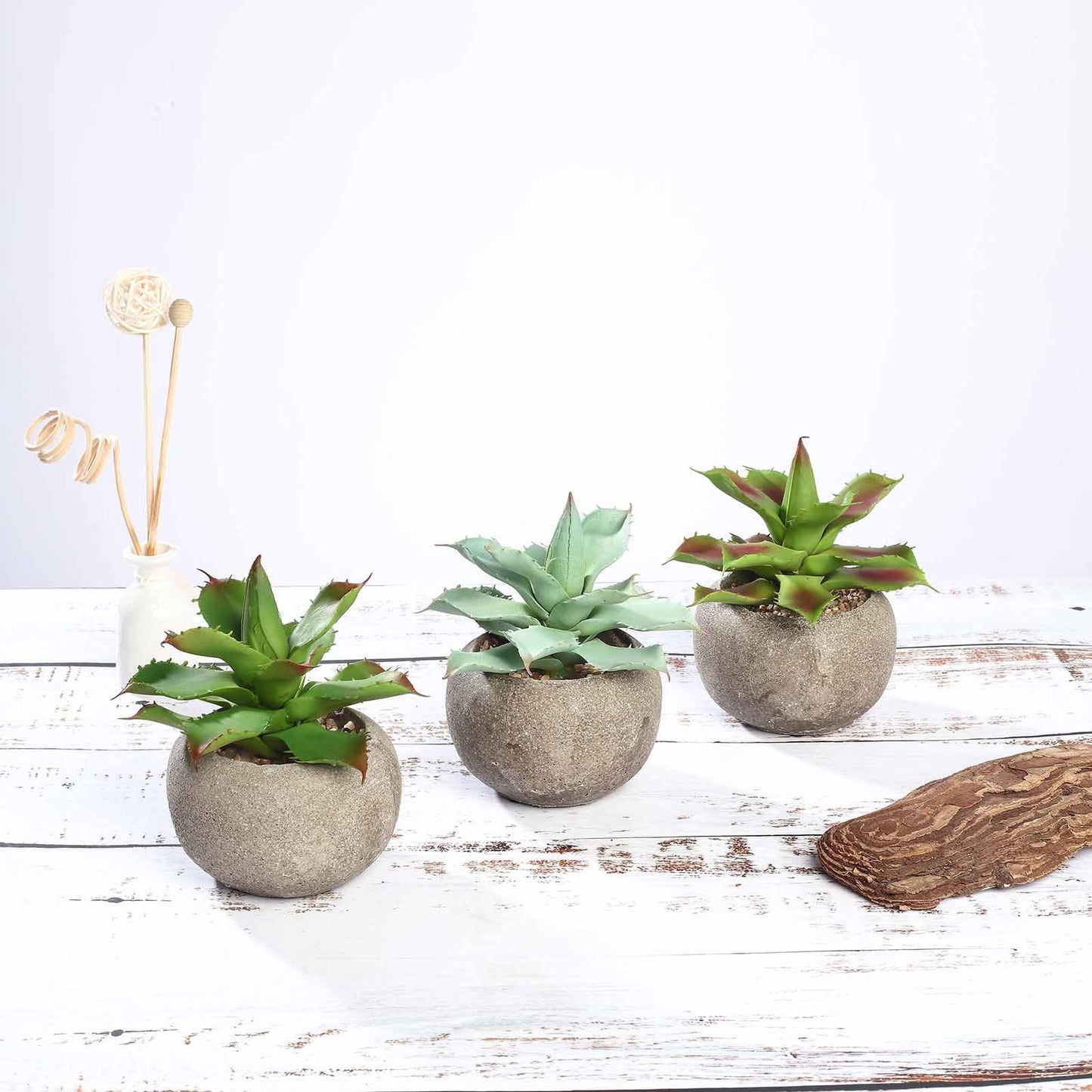 3 Pack Ceramic Planter Pot and Artificial Aloe Succulent Plants 5"