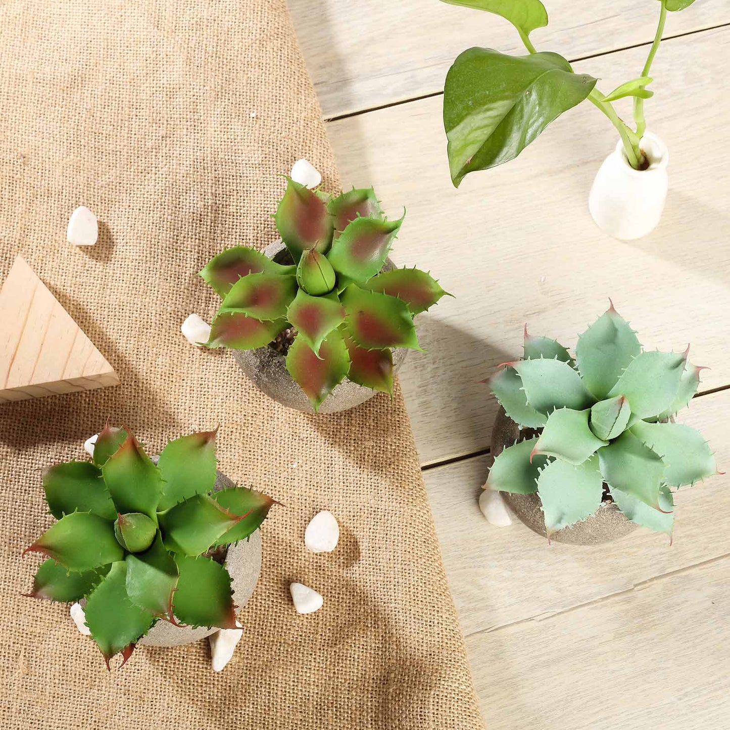 3 Pack Ceramic Planter Pot and Artificial Aloe Succulent Plants 5"