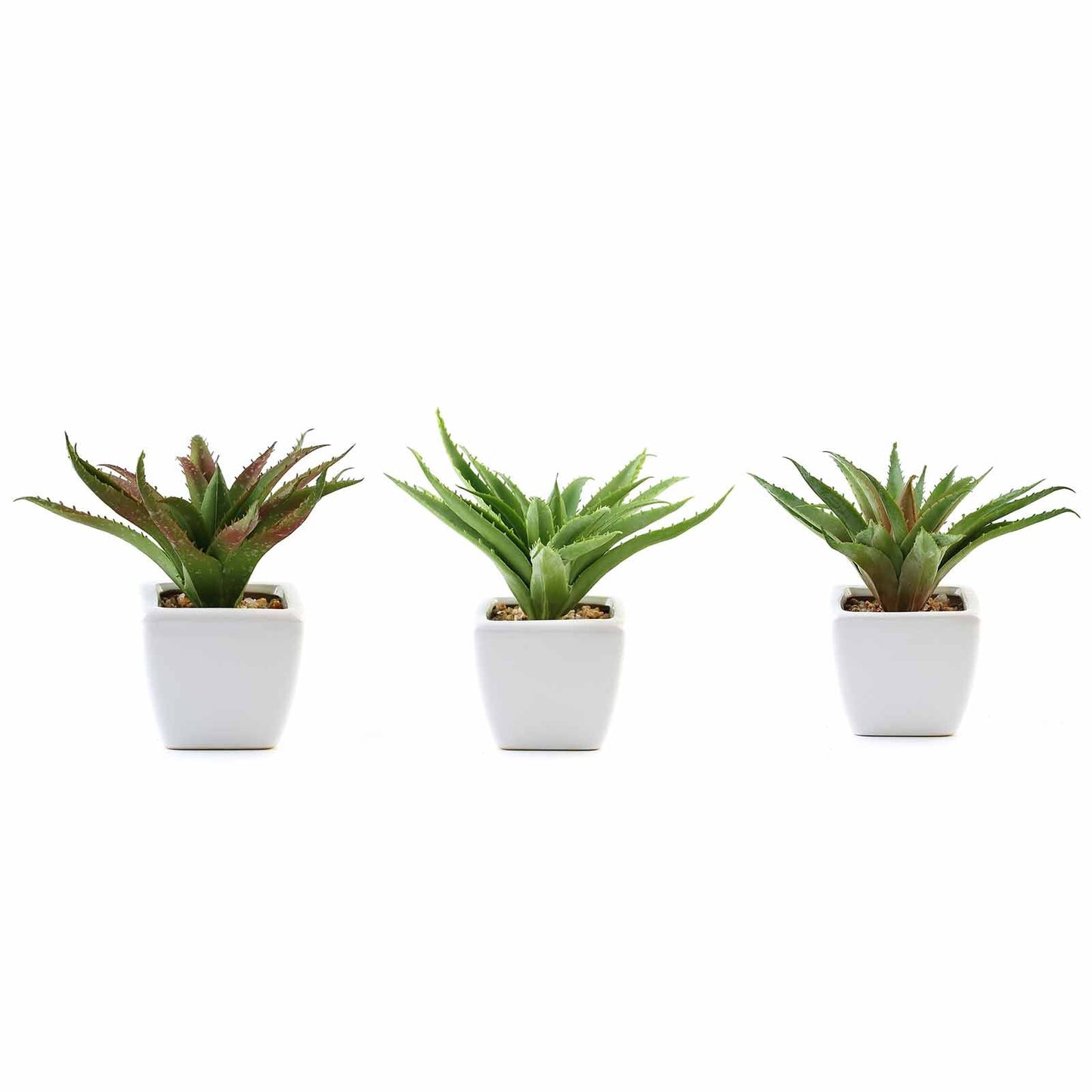 3 Pack Ceramic Planter Pot and Artificial Spot Aloe Succulent Plant 5"