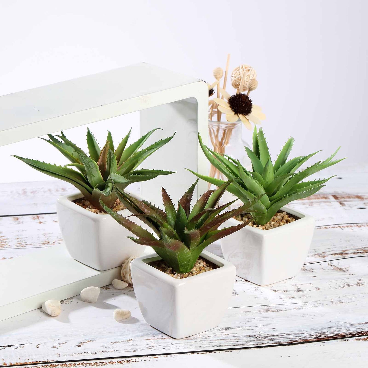 3 Pack Ceramic Planter Pot and Artificial Spot Aloe Succulent Plant 5"