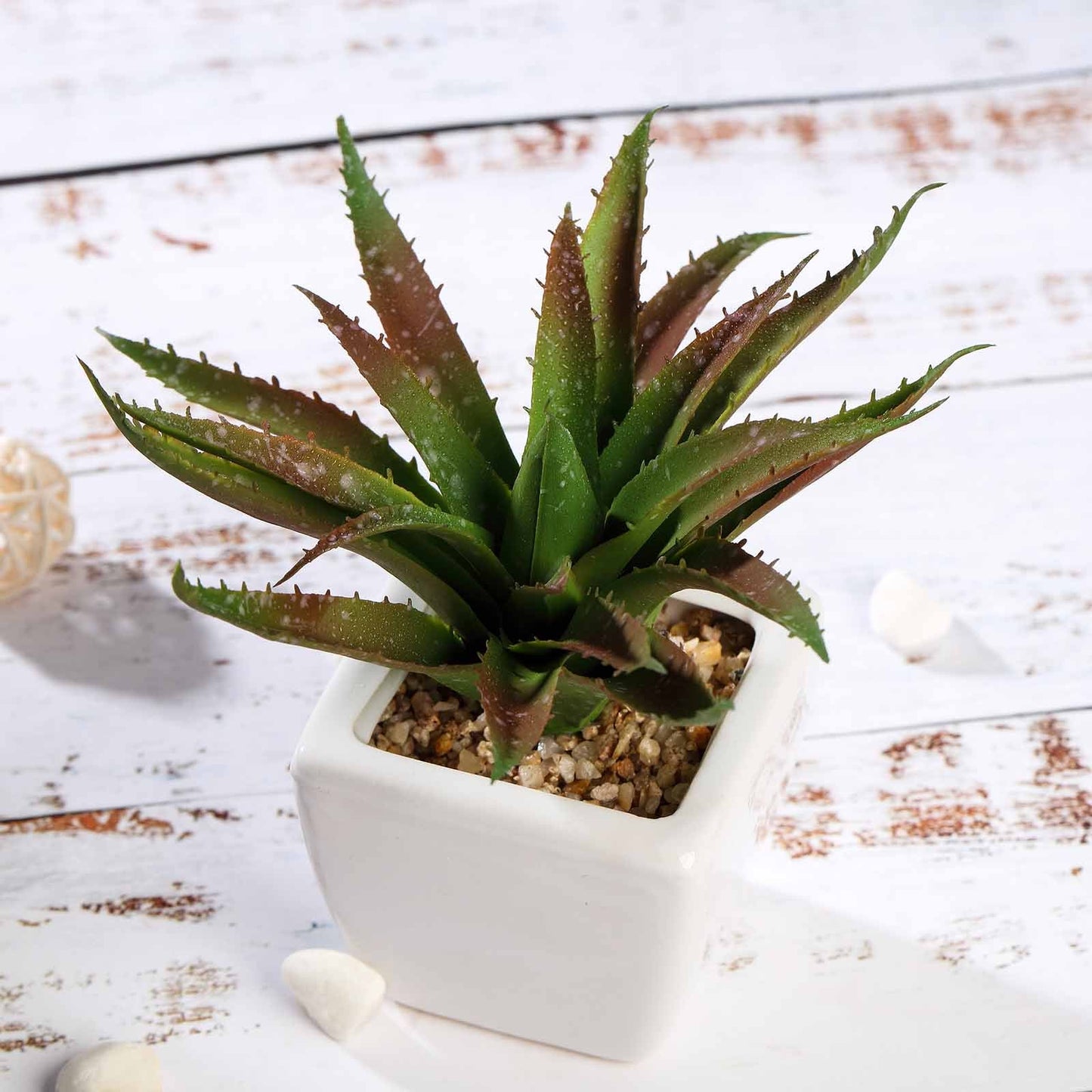 3 Pack Ceramic Planter Pot and Artificial Spot Aloe Succulent Plant 5"