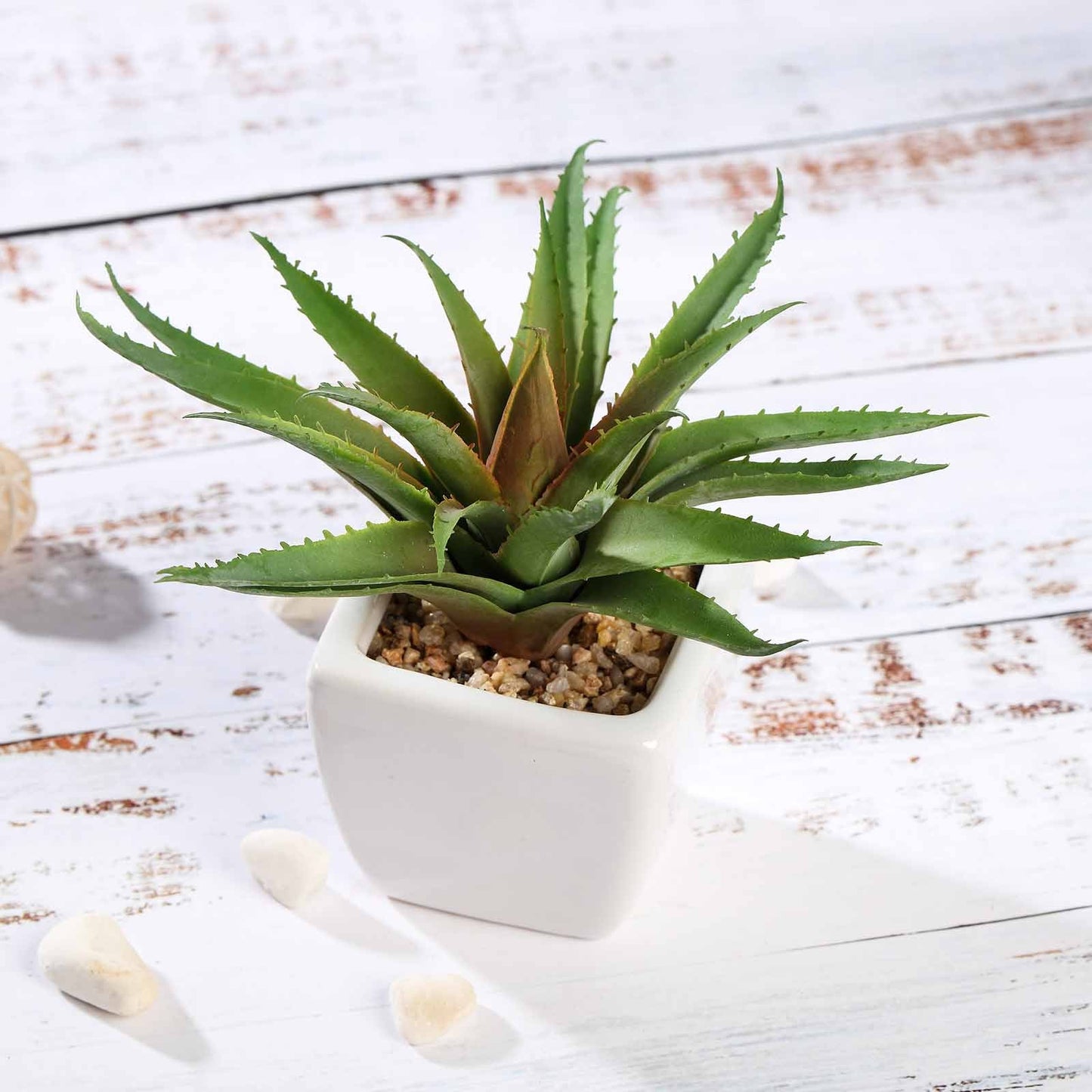 3 Pack Ceramic Planter Pot and Artificial Spot Aloe Succulent Plant 5"