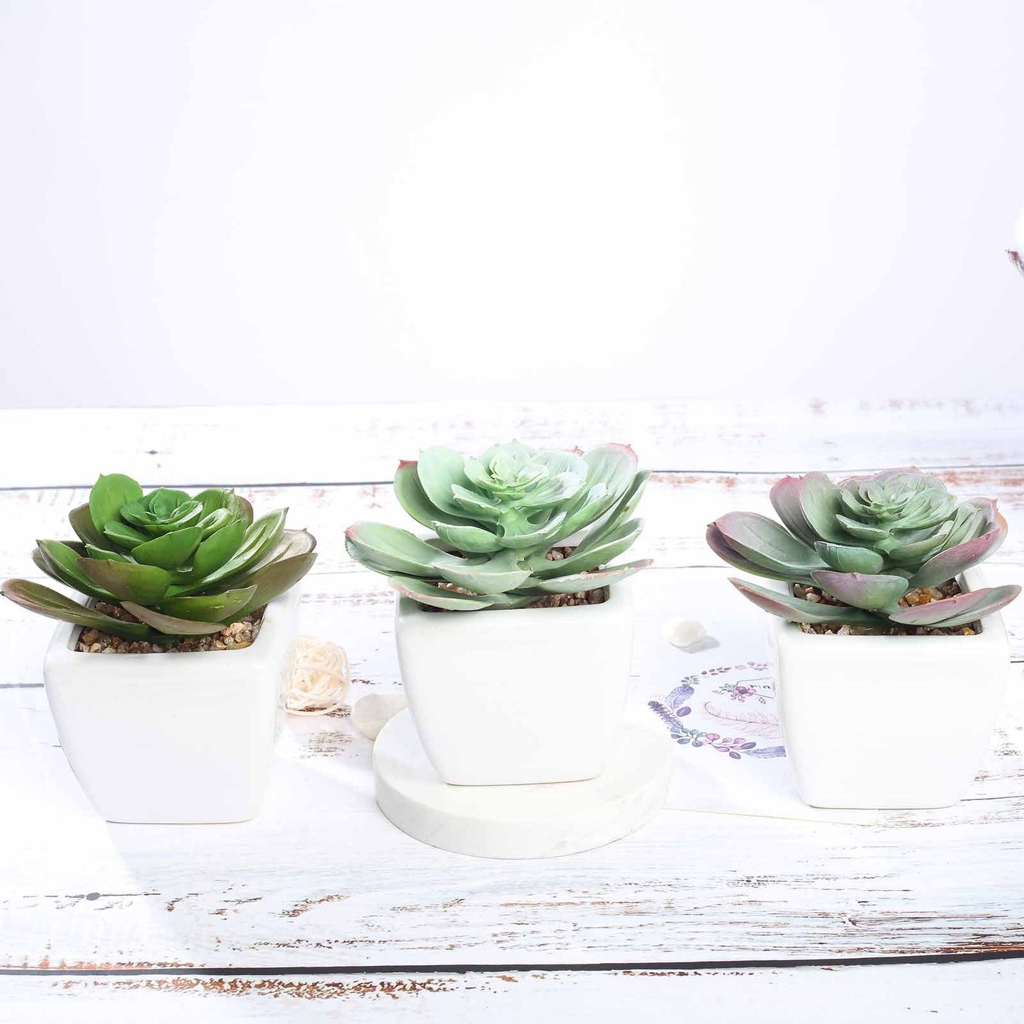3 Pack Ceramic Planter Pot and Artificial Echeveria Succulent Plant 4"