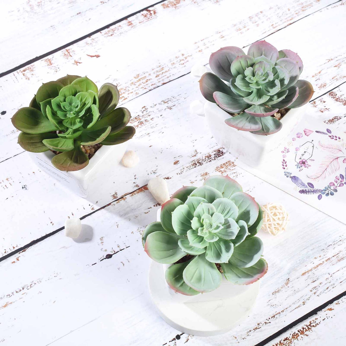 3 Pack Ceramic Planter Pot and Artificial Echeveria Succulent Plant 4"