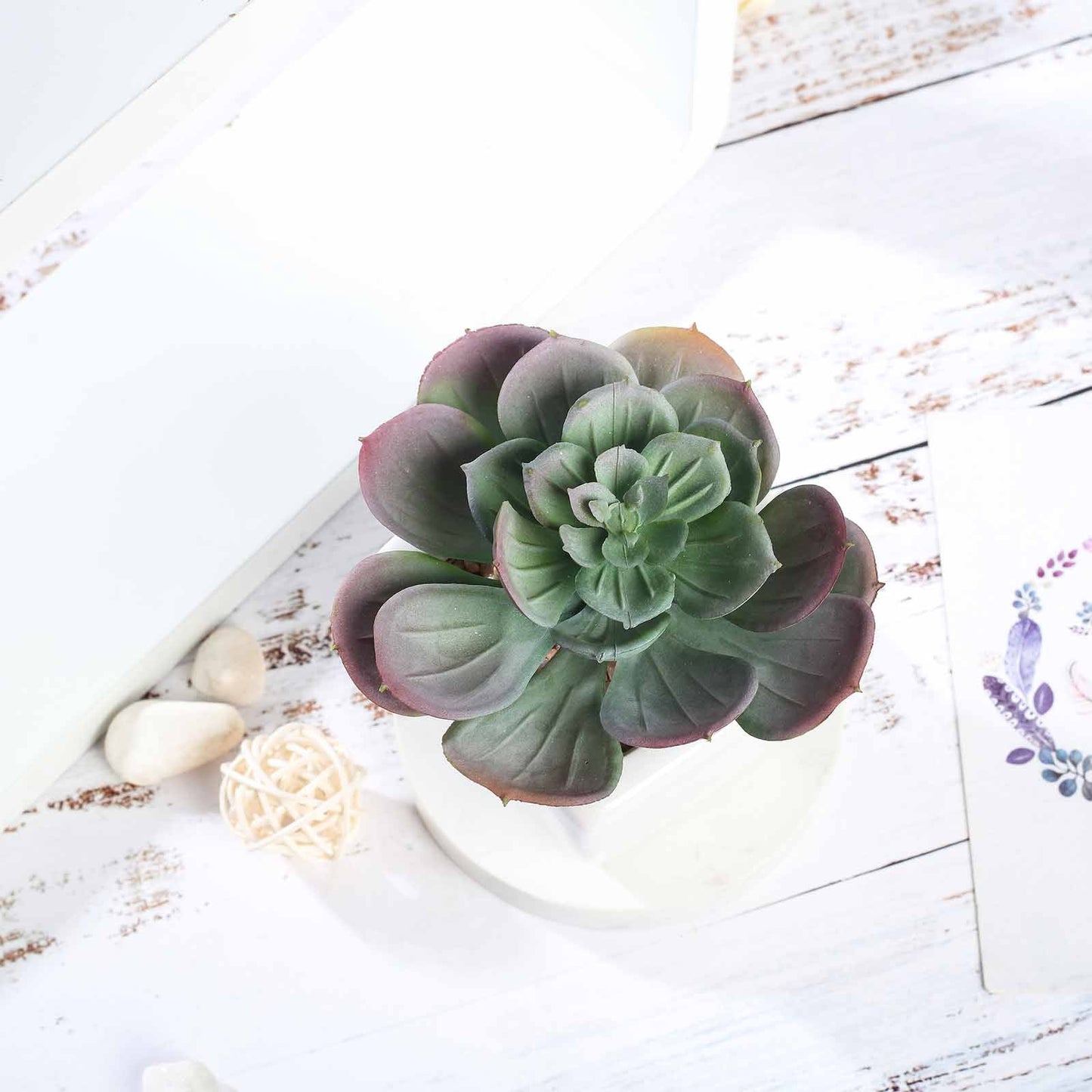 3 Pack Ceramic Planter Pot and Artificial Echeveria Succulent Plant 4"