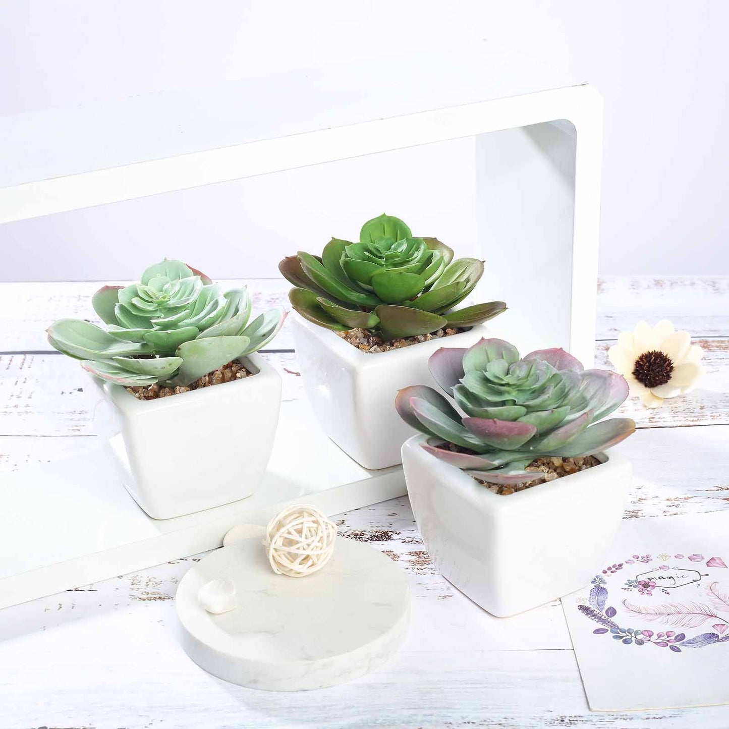 3 Pack Ceramic Planter Pot and Artificial Echeveria Succulent Plant 4"