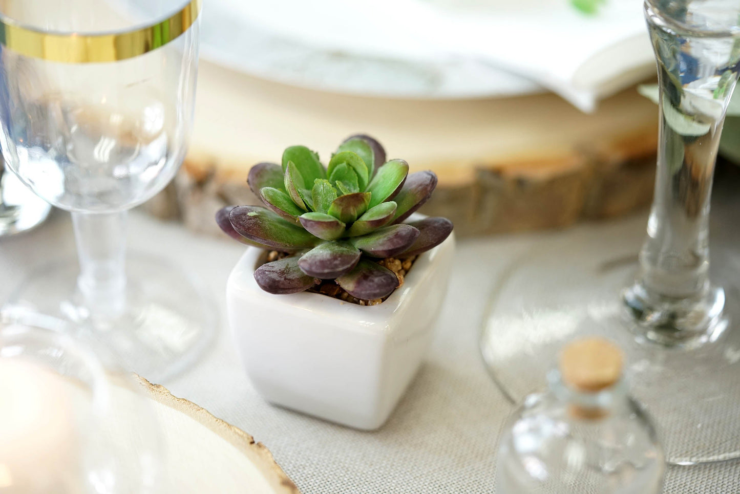 3 Pack Ceramic Planter Pot and Artificial Echeveria Succulent Plant 4"