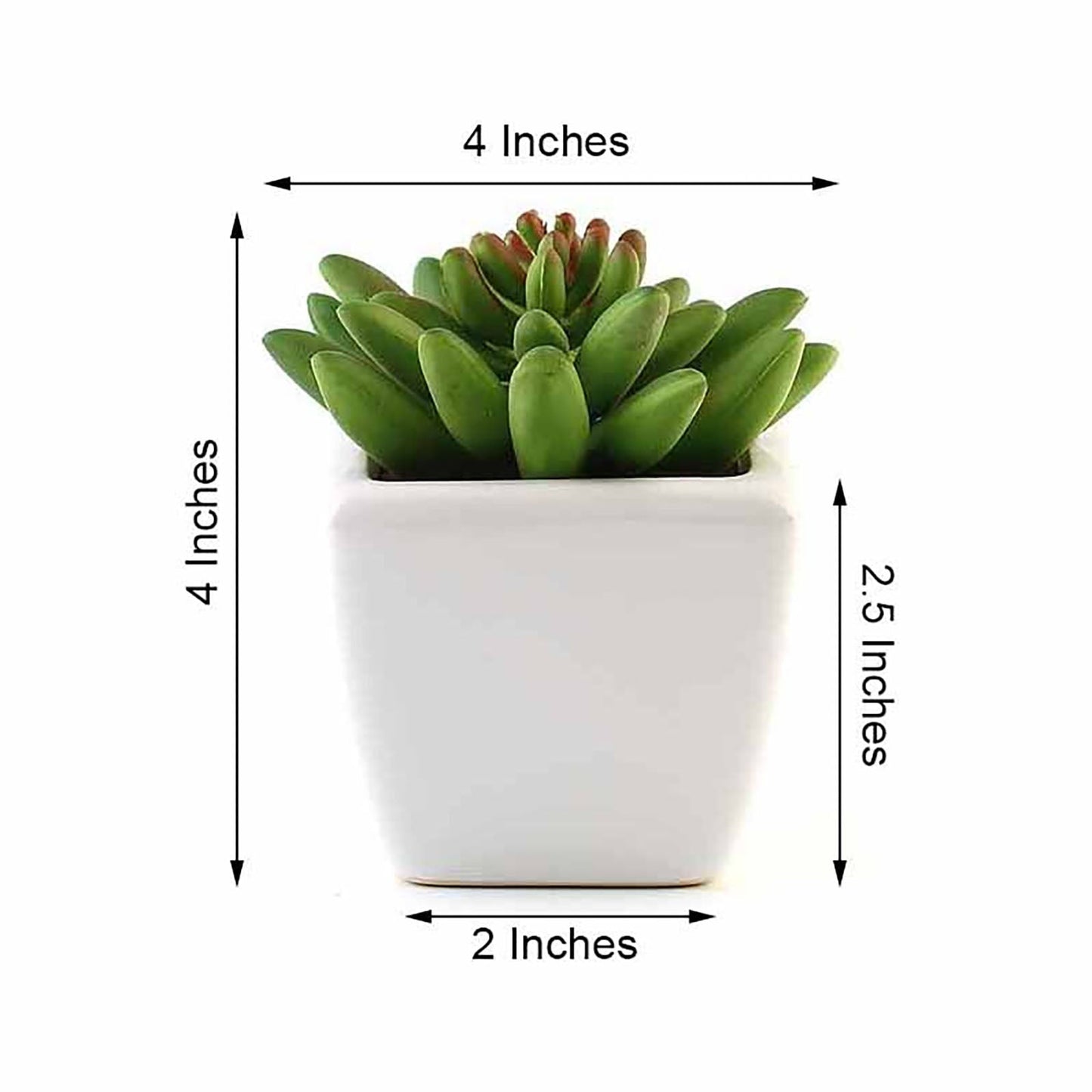 3 Pack Ceramic Planter Pot and Artificial Lotus Succulent Plants 4"