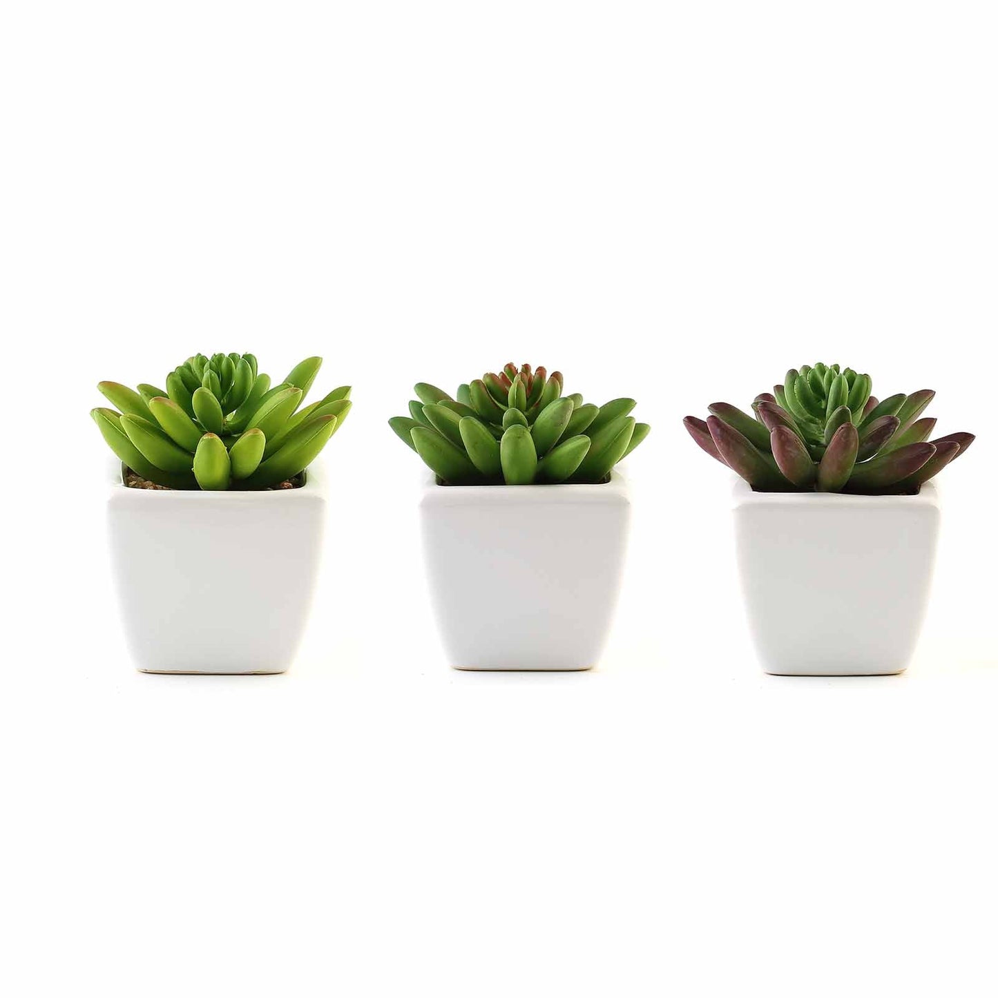 3 Pack Ceramic Planter Pot and Artificial Lotus Succulent Plants 4"
