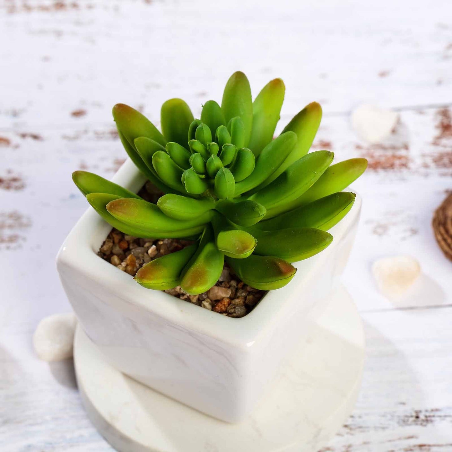 3 Pack Ceramic Planter Pot and Artificial Lotus Succulent Plants 4"