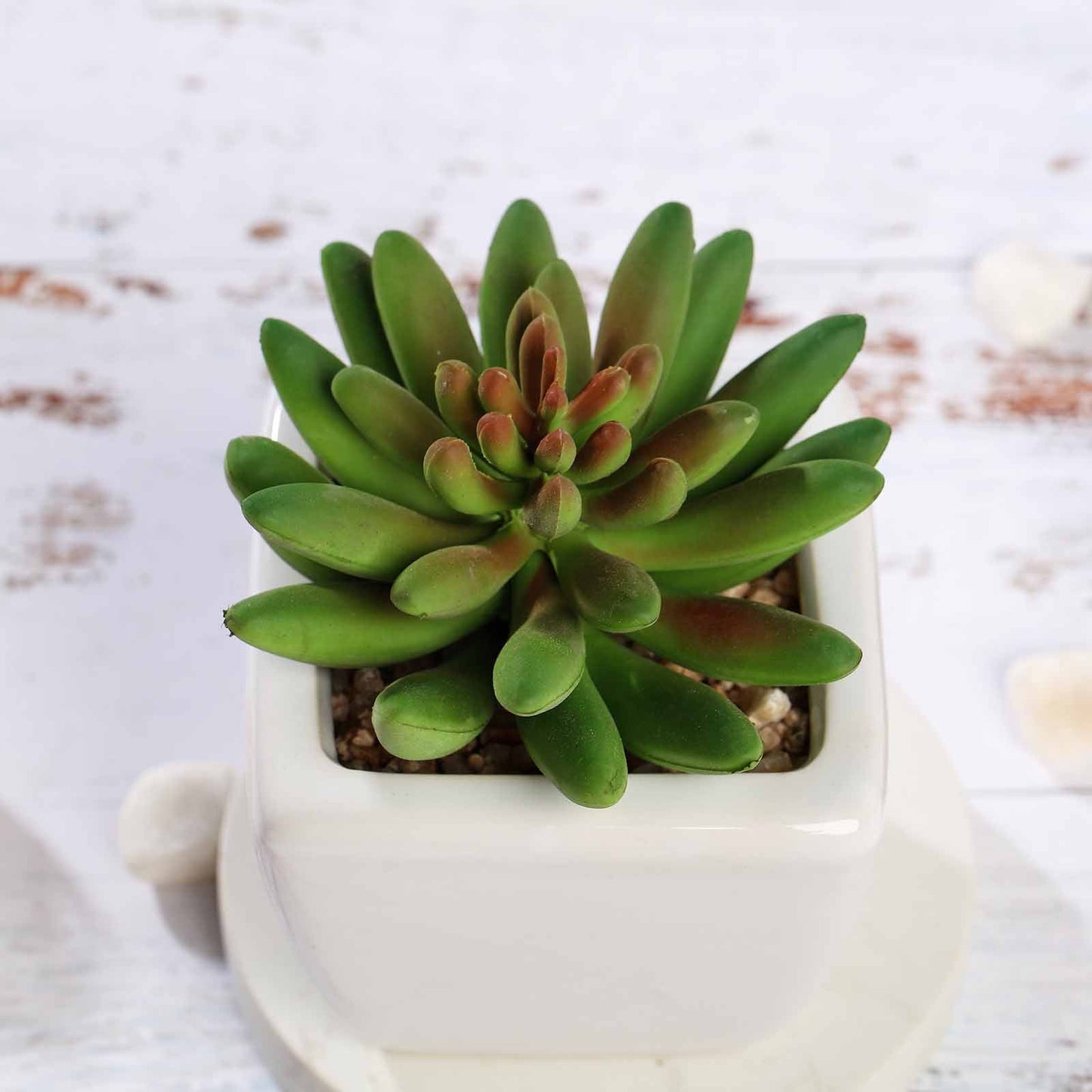 3 Pack Ceramic Planter Pot and Artificial Lotus Succulent Plants 4"
