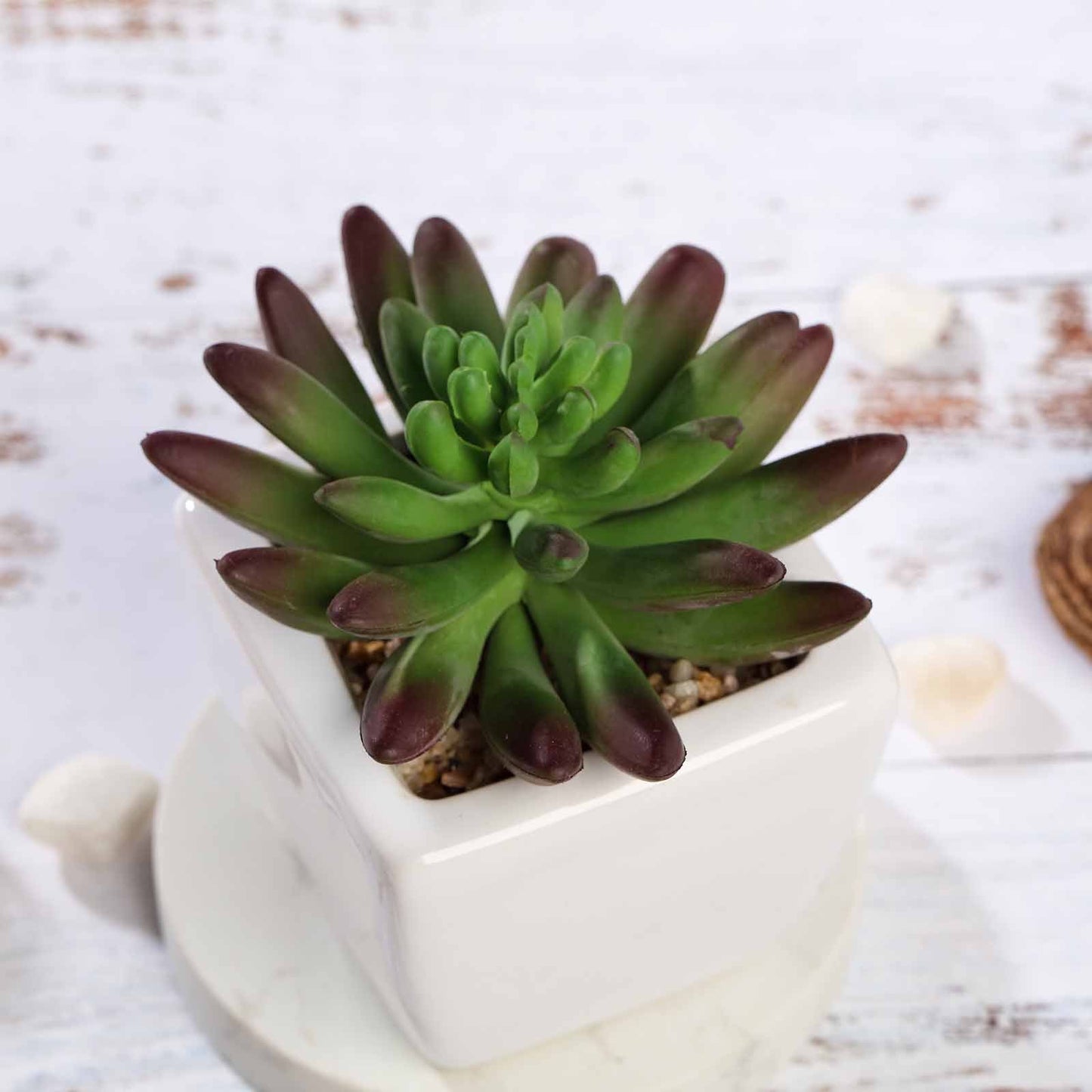 3 Pack Ceramic Planter Pot and Artificial Lotus Succulent Plants 4"