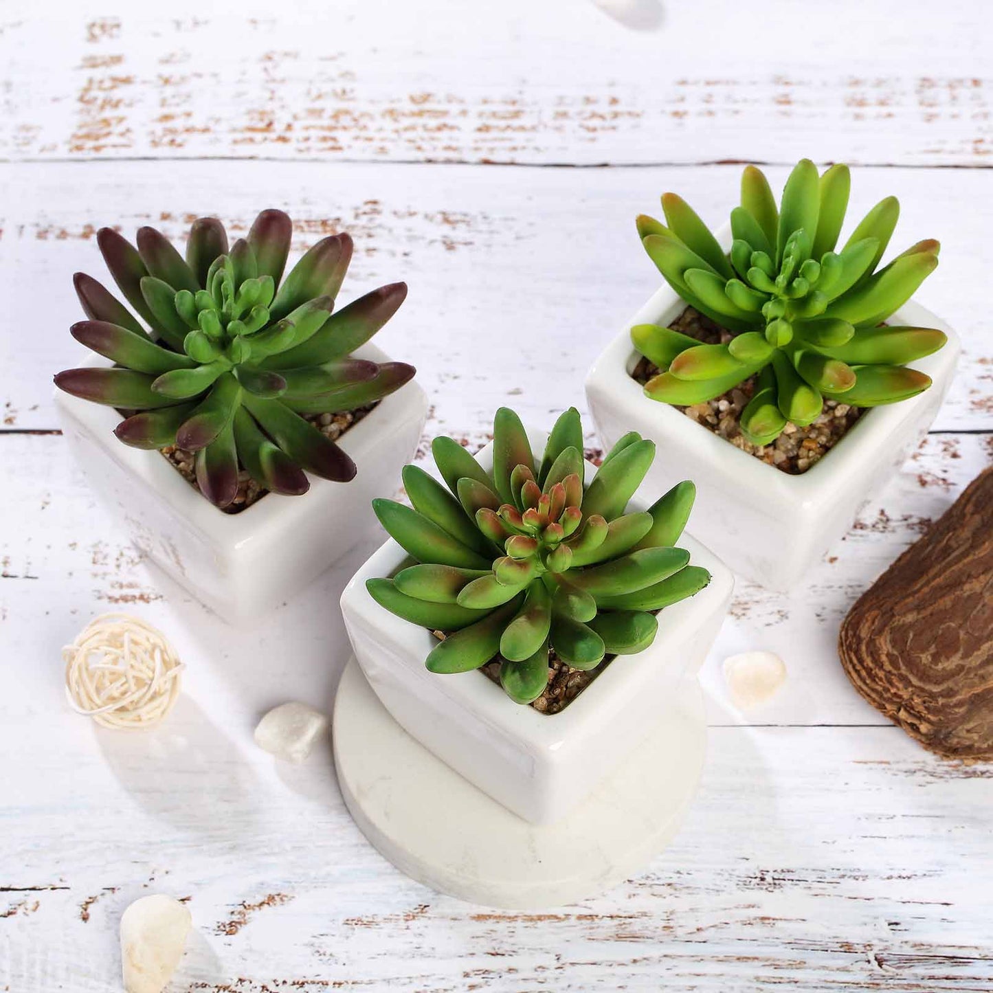 3 Pack Ceramic Planter Pot and Artificial Lotus Succulent Plants 4"