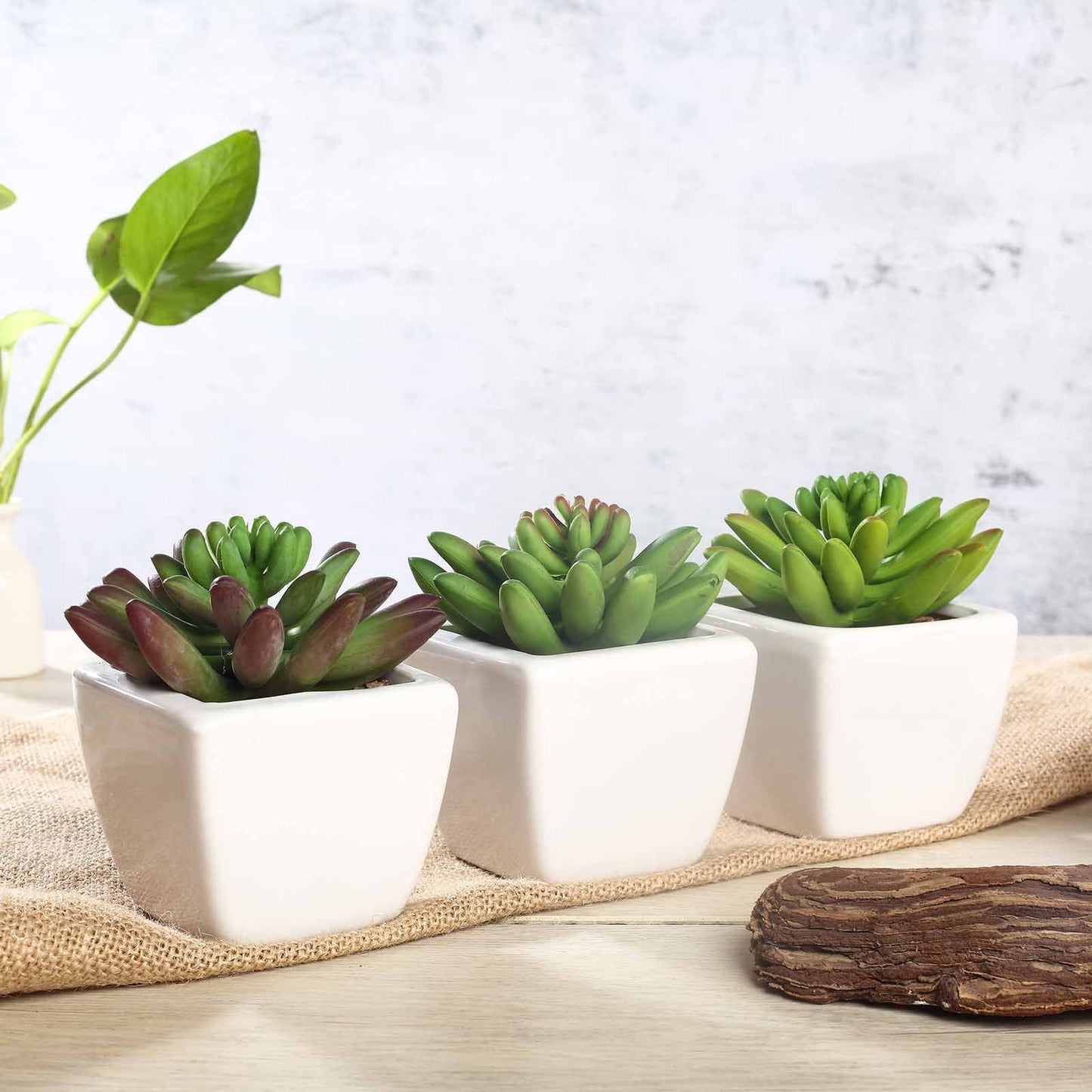3 Pack Ceramic Planter Pot and Artificial Lotus Succulent Plants 4"