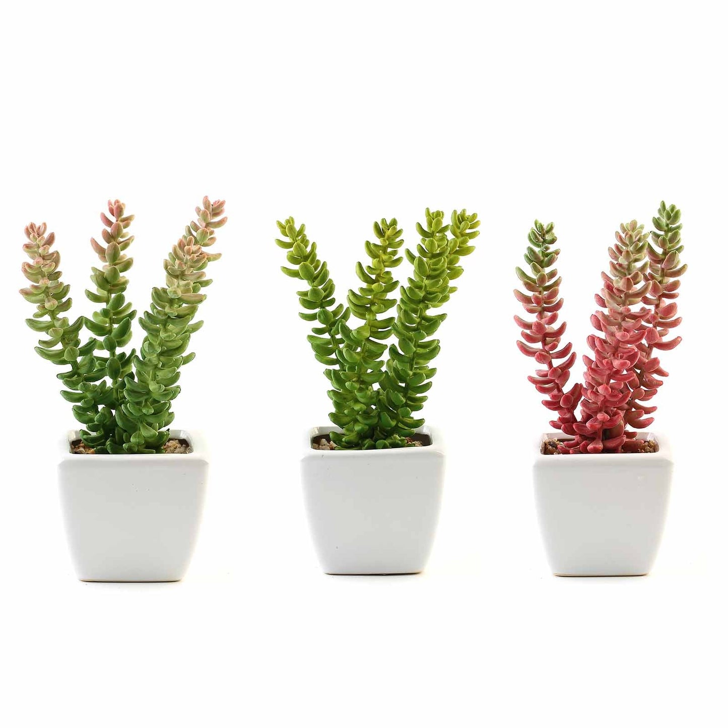 3 Pack Ceramic Planter Pot and Artificial Sedum Succulent Plants 8"