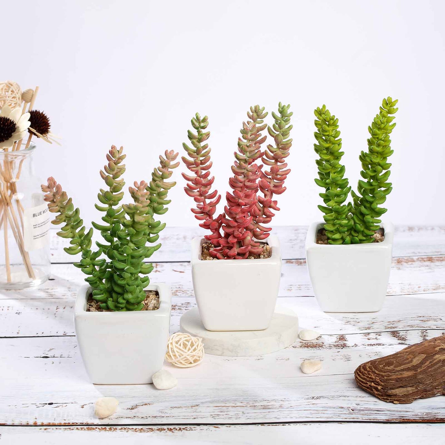 3 Pack Ceramic Planter Pot and Artificial Sedum Succulent Plants 8"