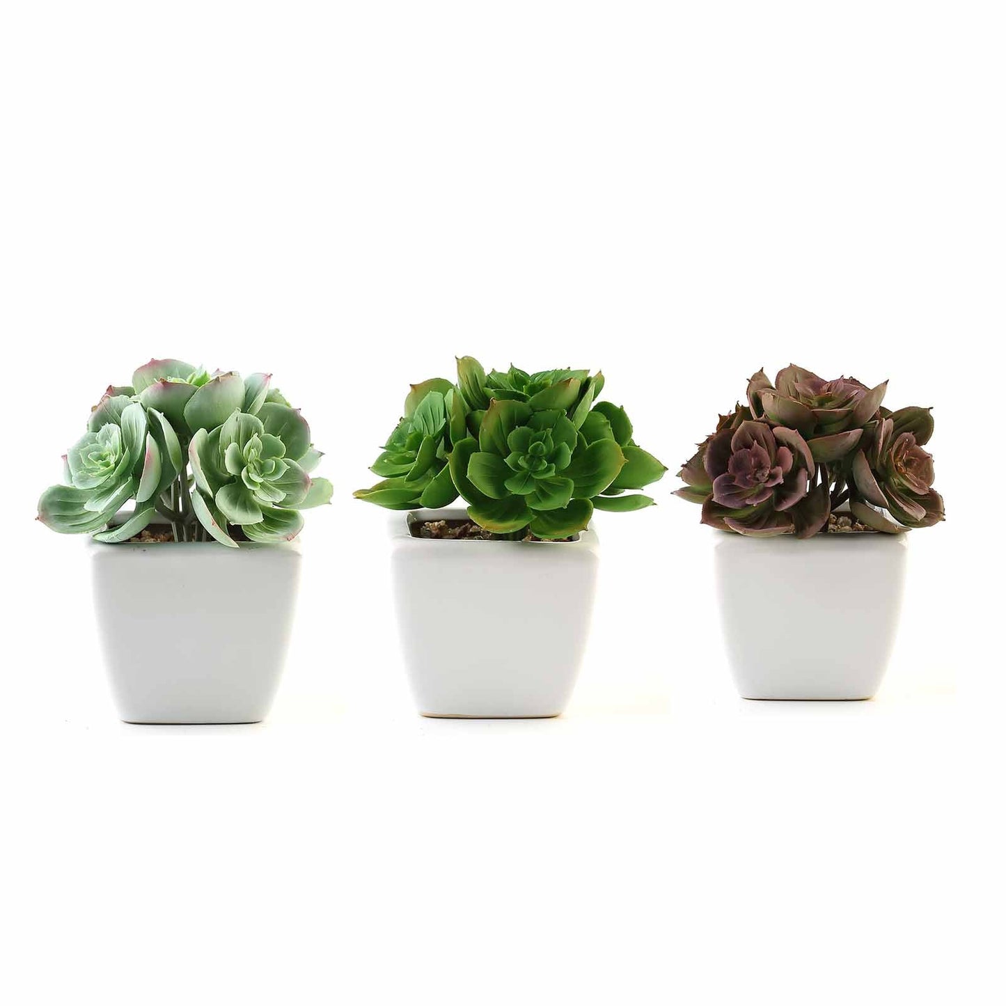3 Pack Ceramic Planter Pot and Artificial Echeveria Elegans Plants 5"