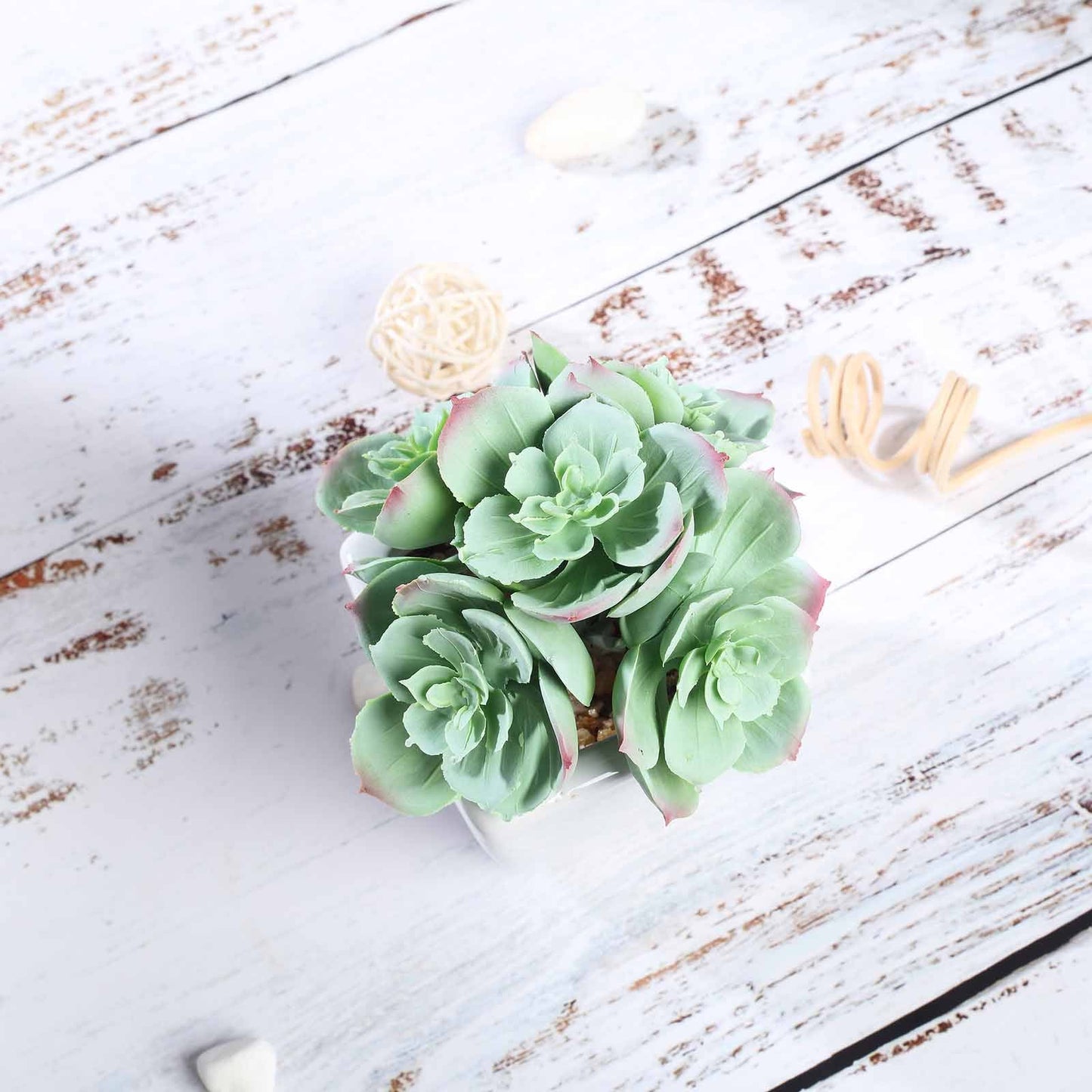 3 Pack Ceramic Planter Pot and Artificial Echeveria Elegans Plants 5"