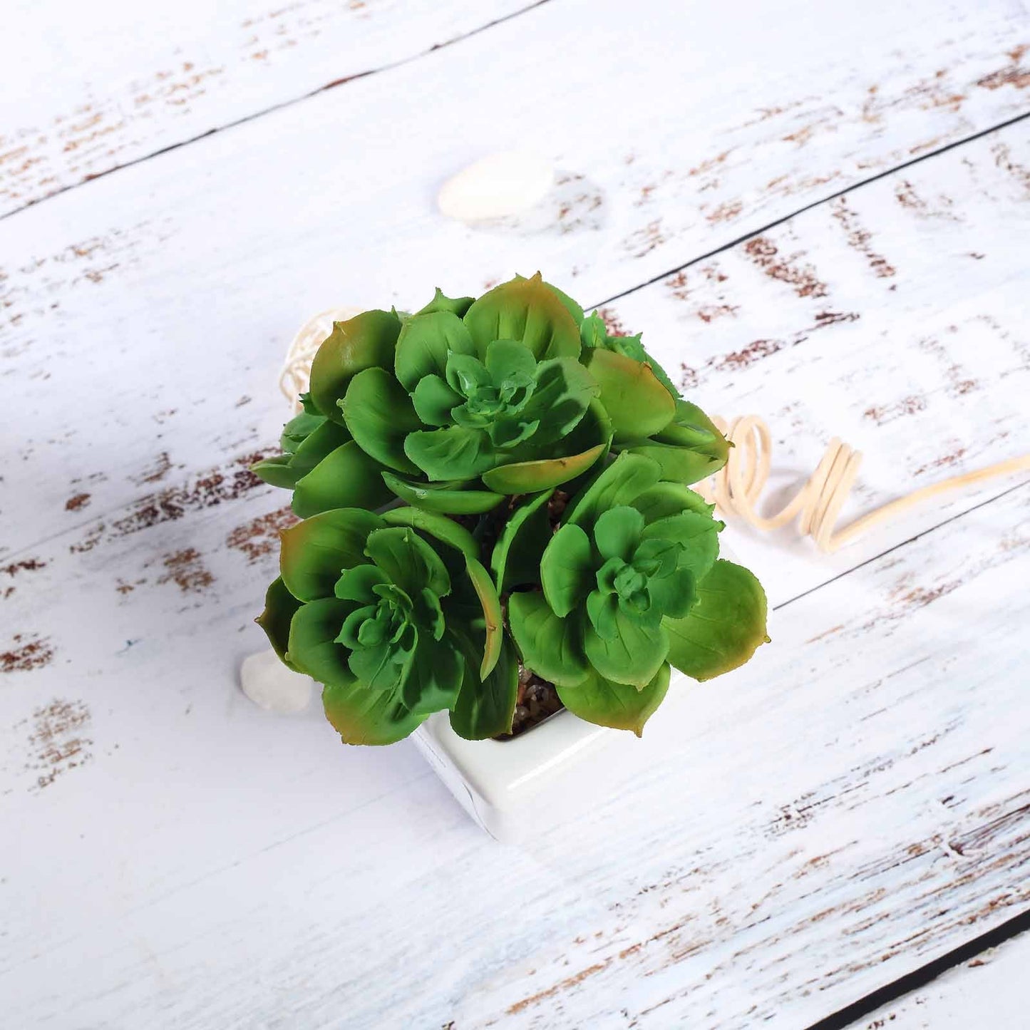 3 Pack Ceramic Planter Pot and Artificial Echeveria Elegans Plants 5"