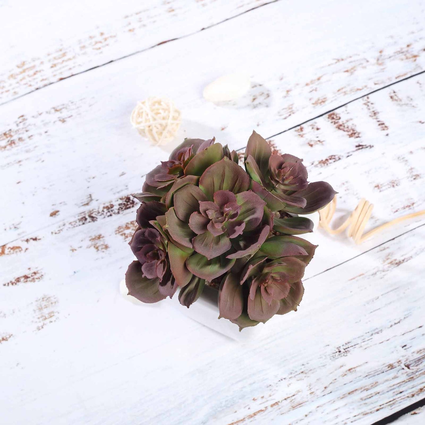3 Pack Ceramic Planter Pot and Artificial Echeveria Elegans Plants 5"