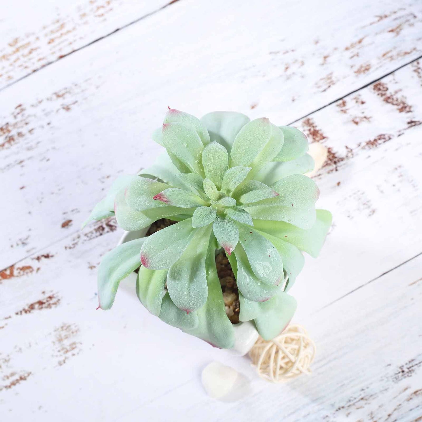 3 Pack Ceramic Planter Pot and Artificial Elegans Succulent Plants 5"