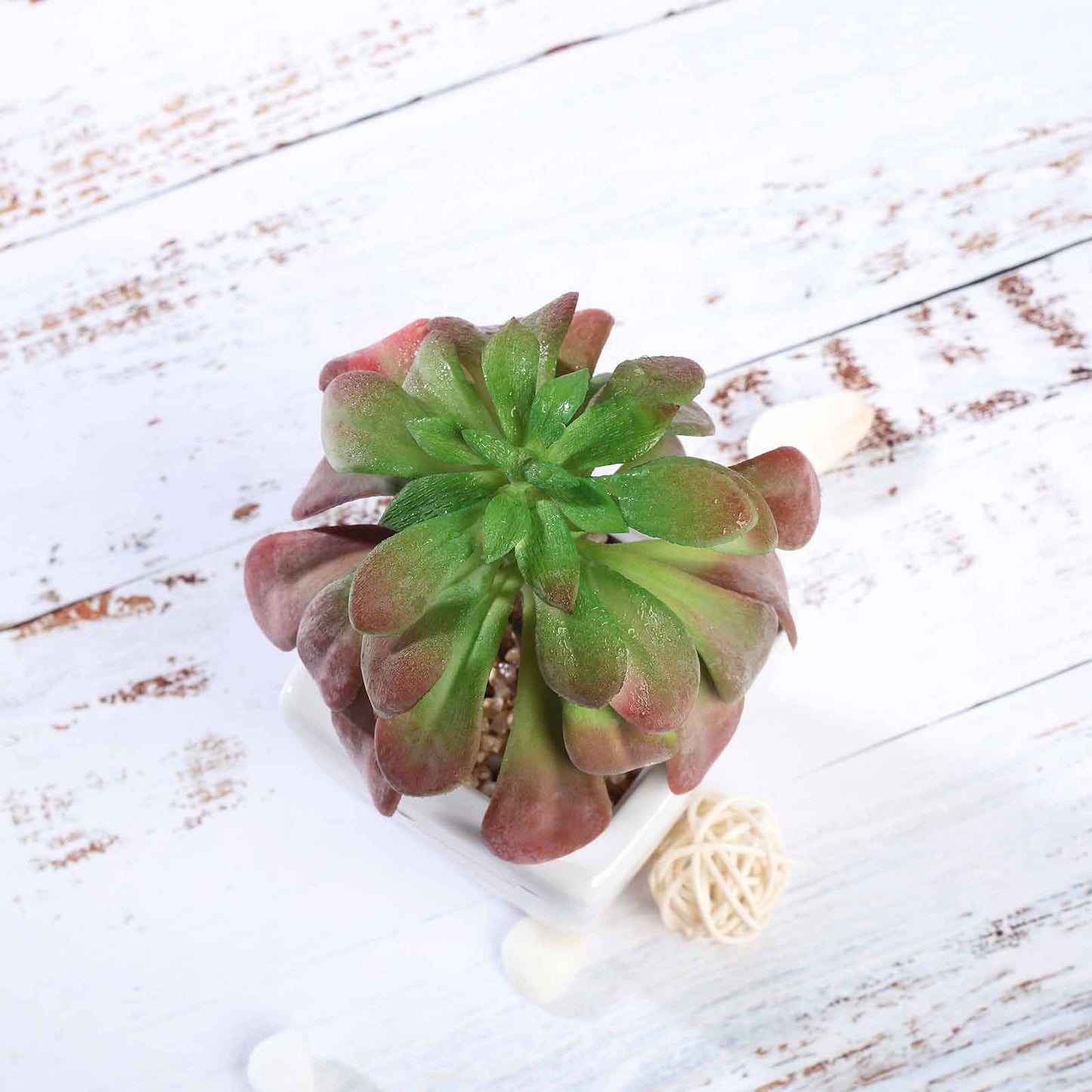 3 Pack Ceramic Planter Pot and Artificial Elegans Succulent Plants 5"