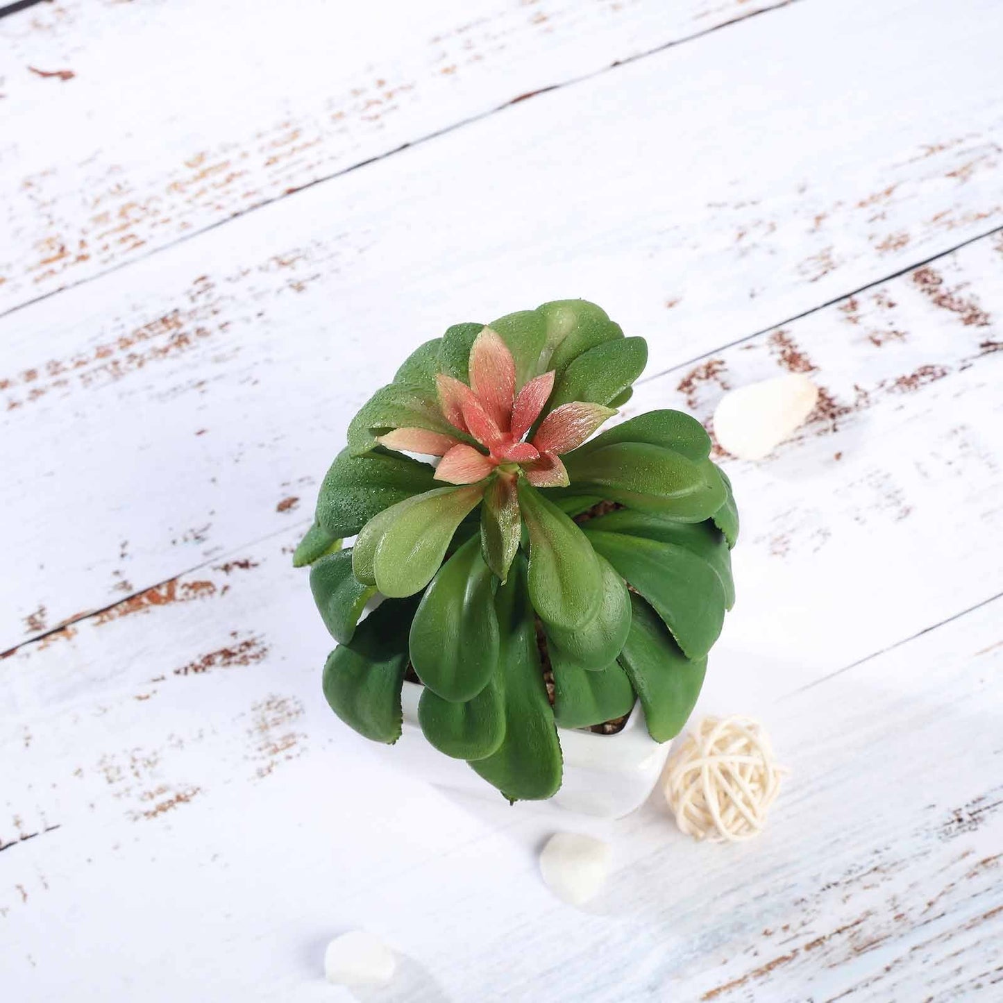 3 Pack Ceramic Planter Pot and Artificial Elegans Succulent Plants 5"