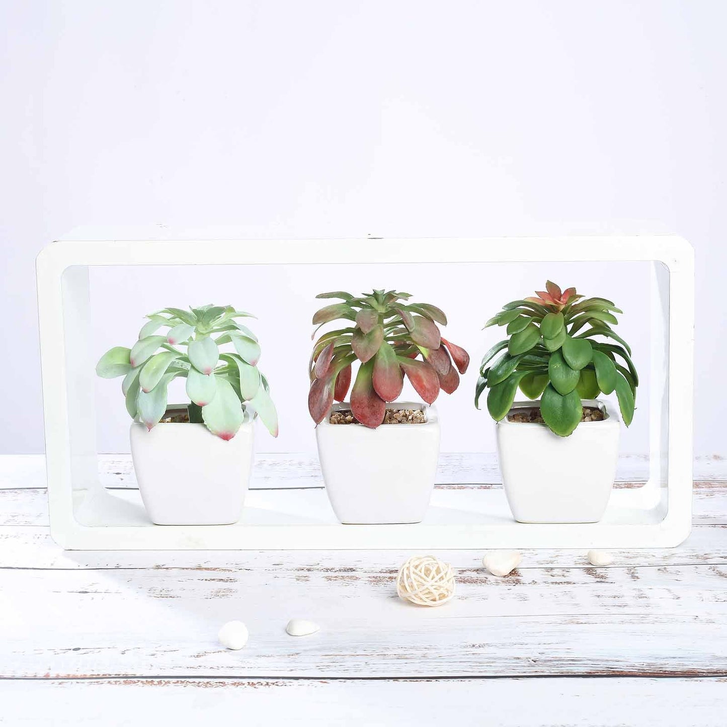 3 Pack Ceramic Planter Pot and Artificial Elegans Succulent Plants 5"