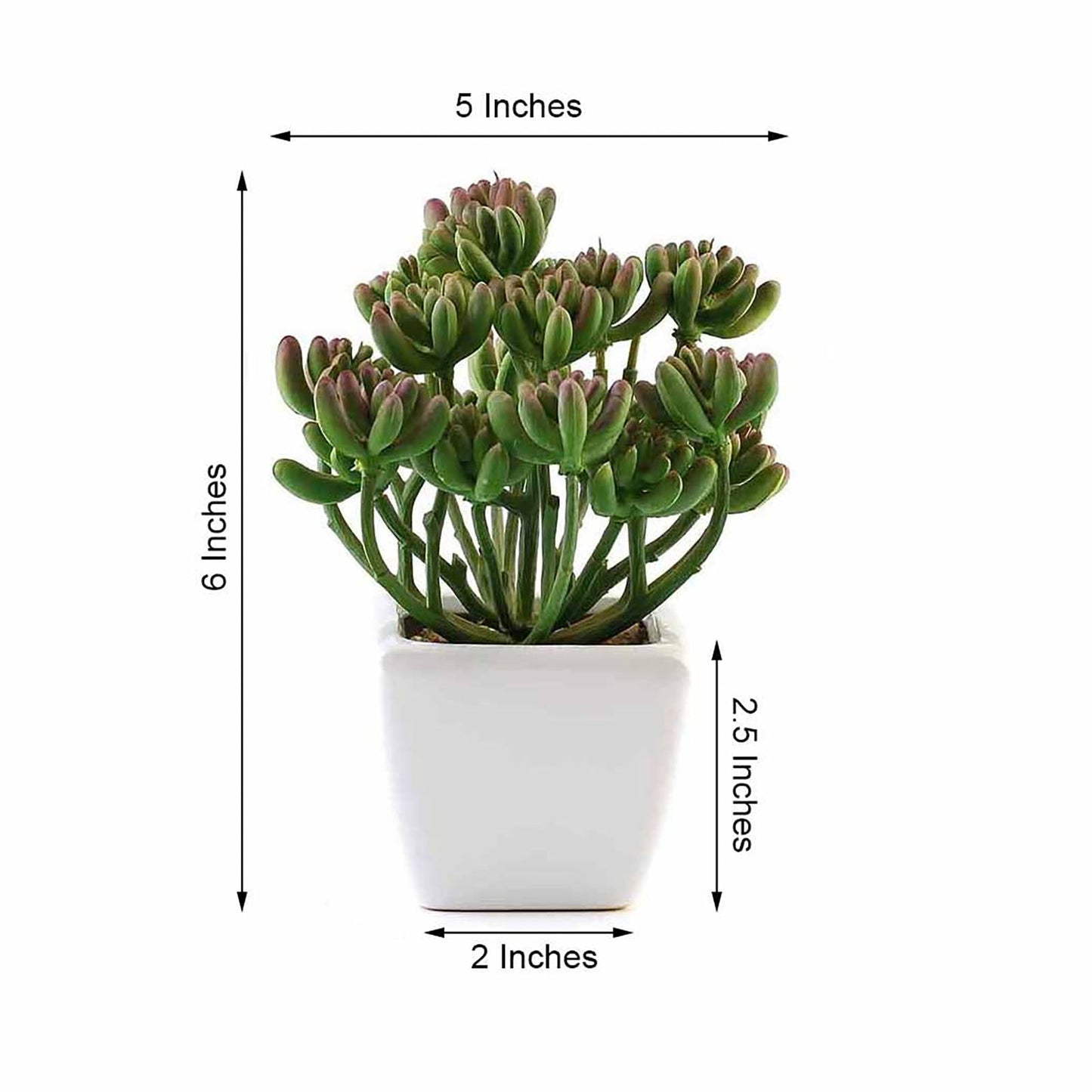 3 Pack Ceramic Planter Pot and Artificial Stonecrop Succulent Plant 7"