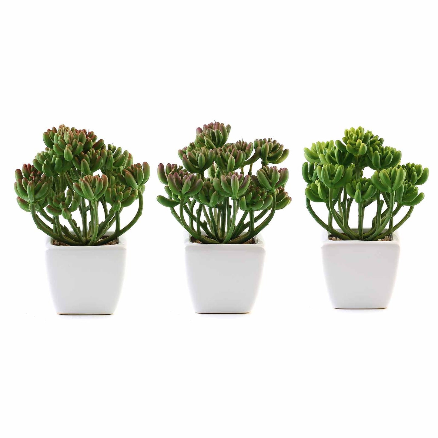 3 Pack Ceramic Planter Pot and Artificial Stonecrop Succulent Plant 7"